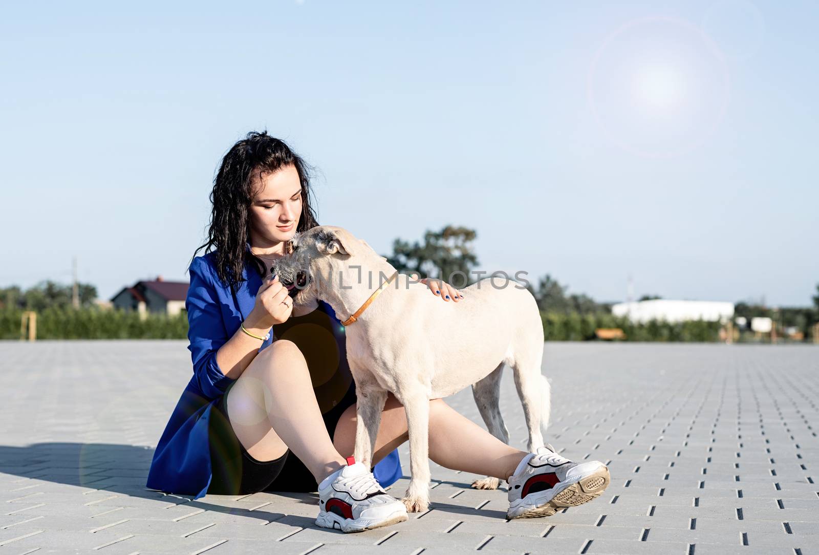 Pet care. Pet adoption. Young woman playing with her dog in the park