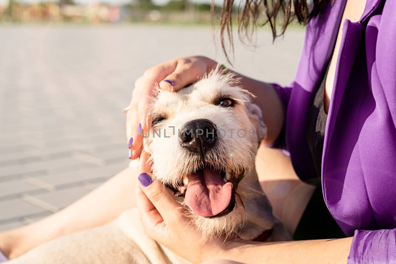 Pet care. Pet adoption. Young woman hugging her mixed breed dog
