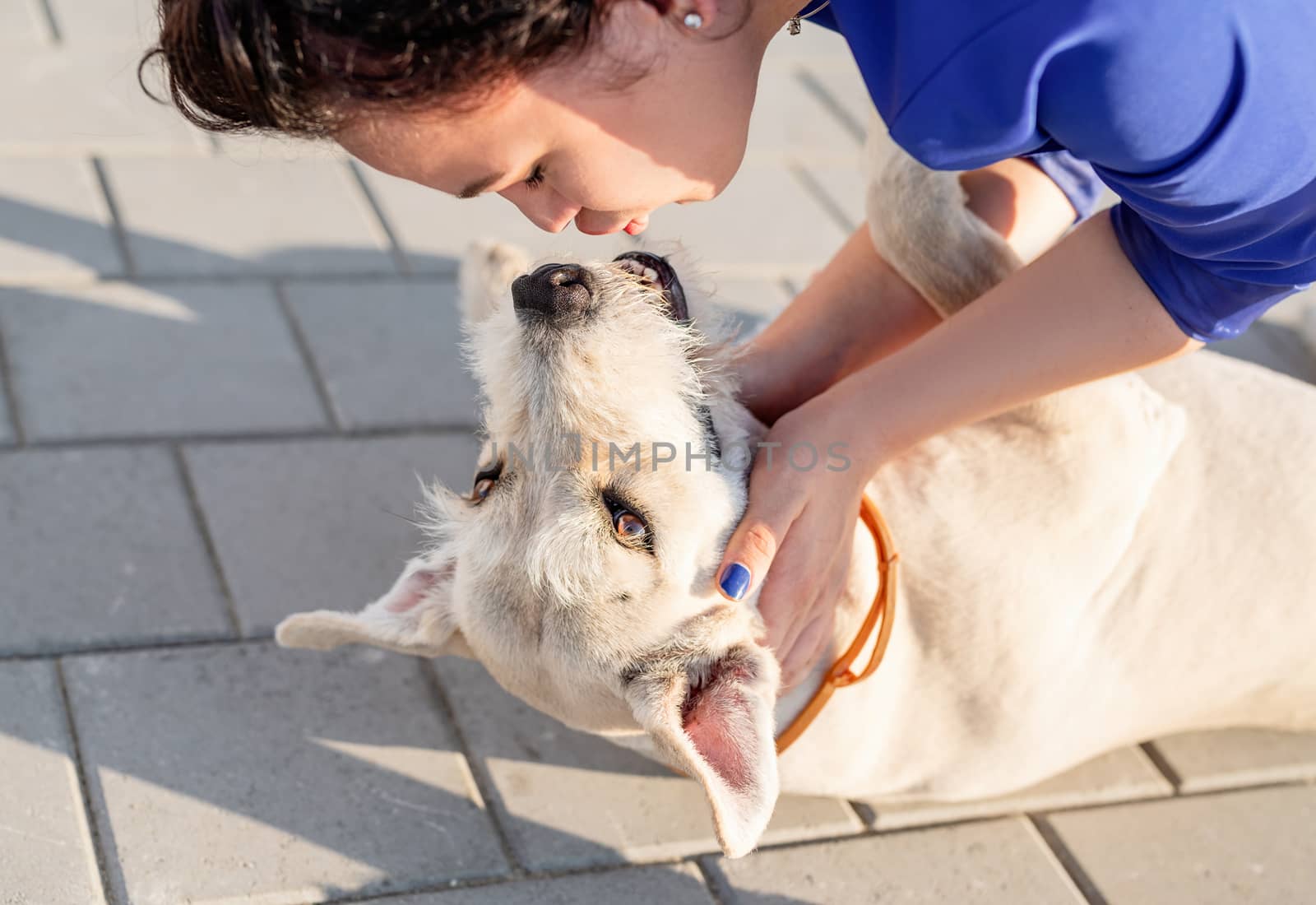 Pet care. Pet adoption. Young woman kissing her mixed breed dog