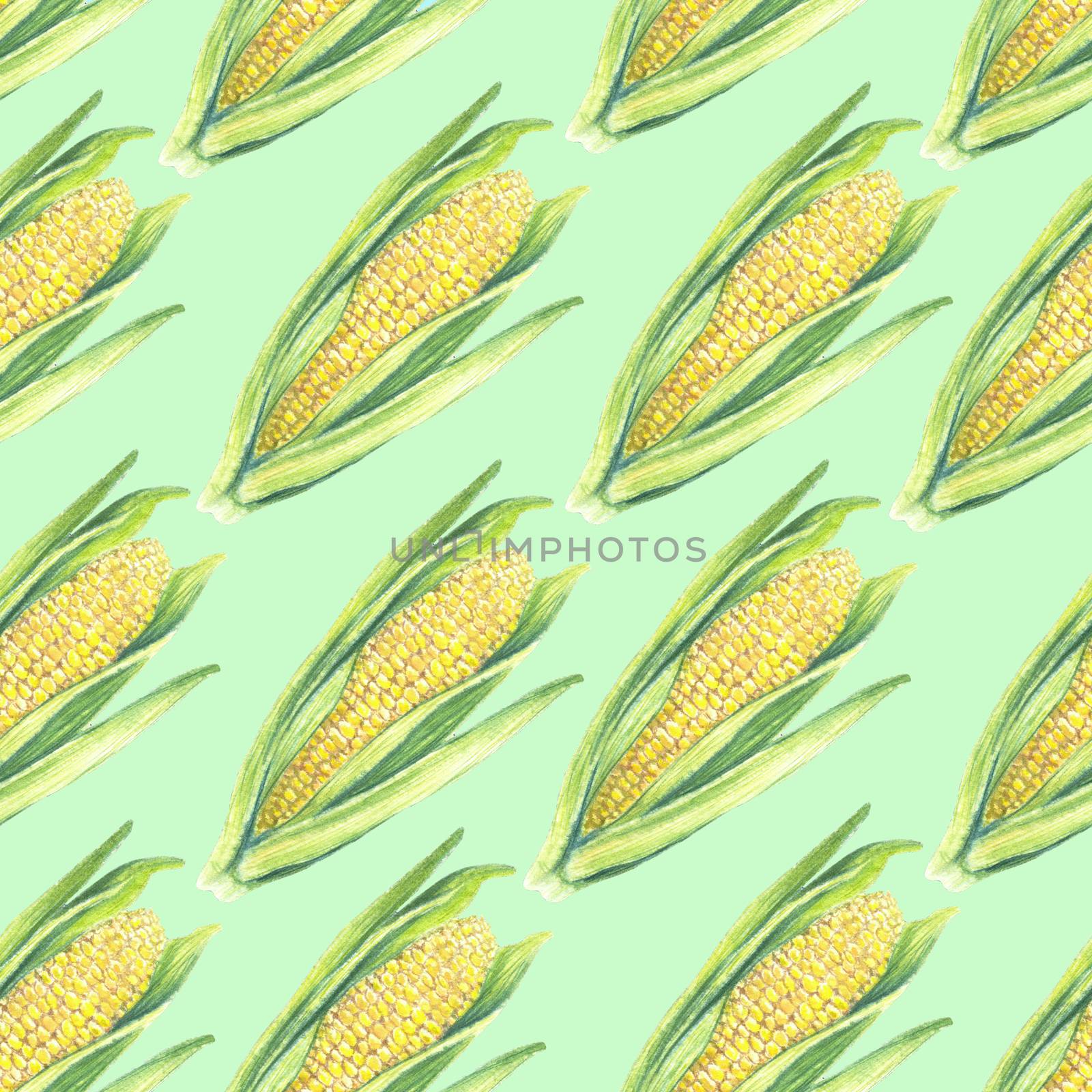 Seamless Pattern of corn cobs with leaves on green background. Eco vegetables plants. Shop design, healthy lifestyle, packaging, textile. Hand drawn watercolour illustration. Botanical realistic art. by sshisshka