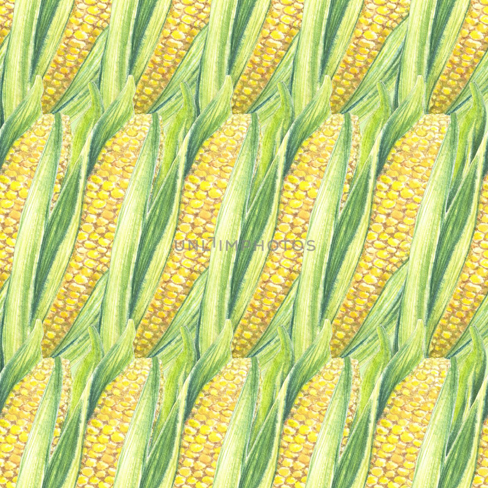 Seamless Pattern of corn cobs with leaves. Eco Background with vegetables plants. Shop design, healthy lifestyle, packaging, textile. Hand drawn watercolour illustration. Botanical realistic art.