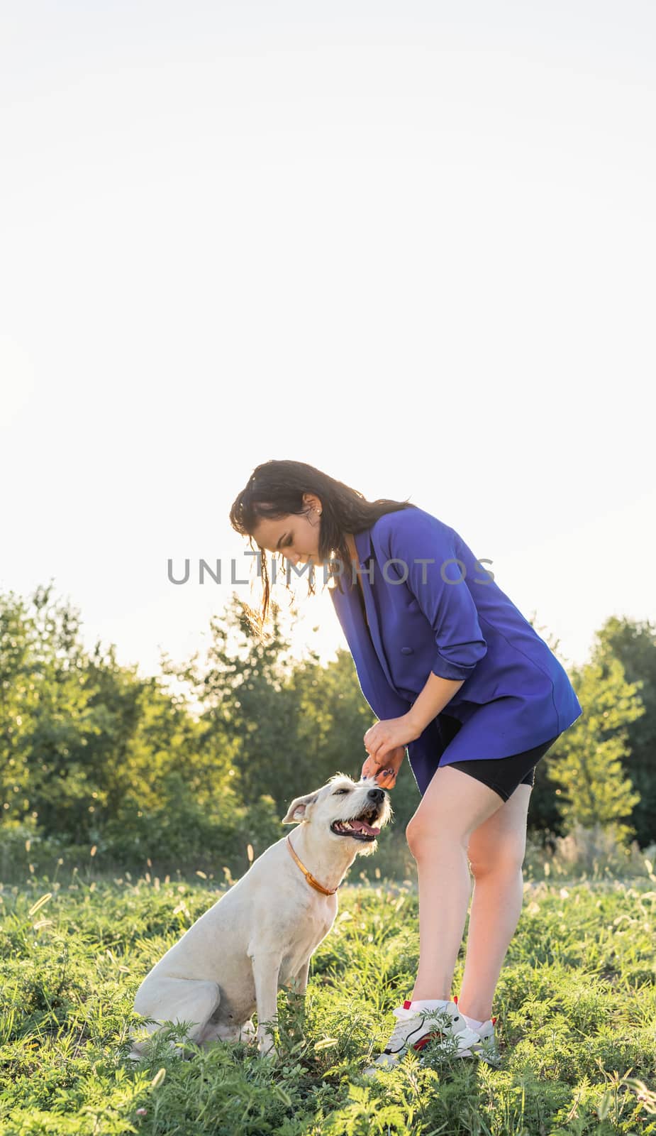 young attractive woman hugging her dog in the park in the sunset by Desperada