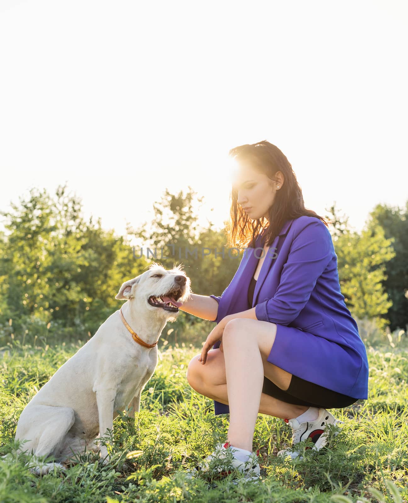 Pet care. Pet adoption. Young woman hugging her mixed breed dog in the park in the sunset