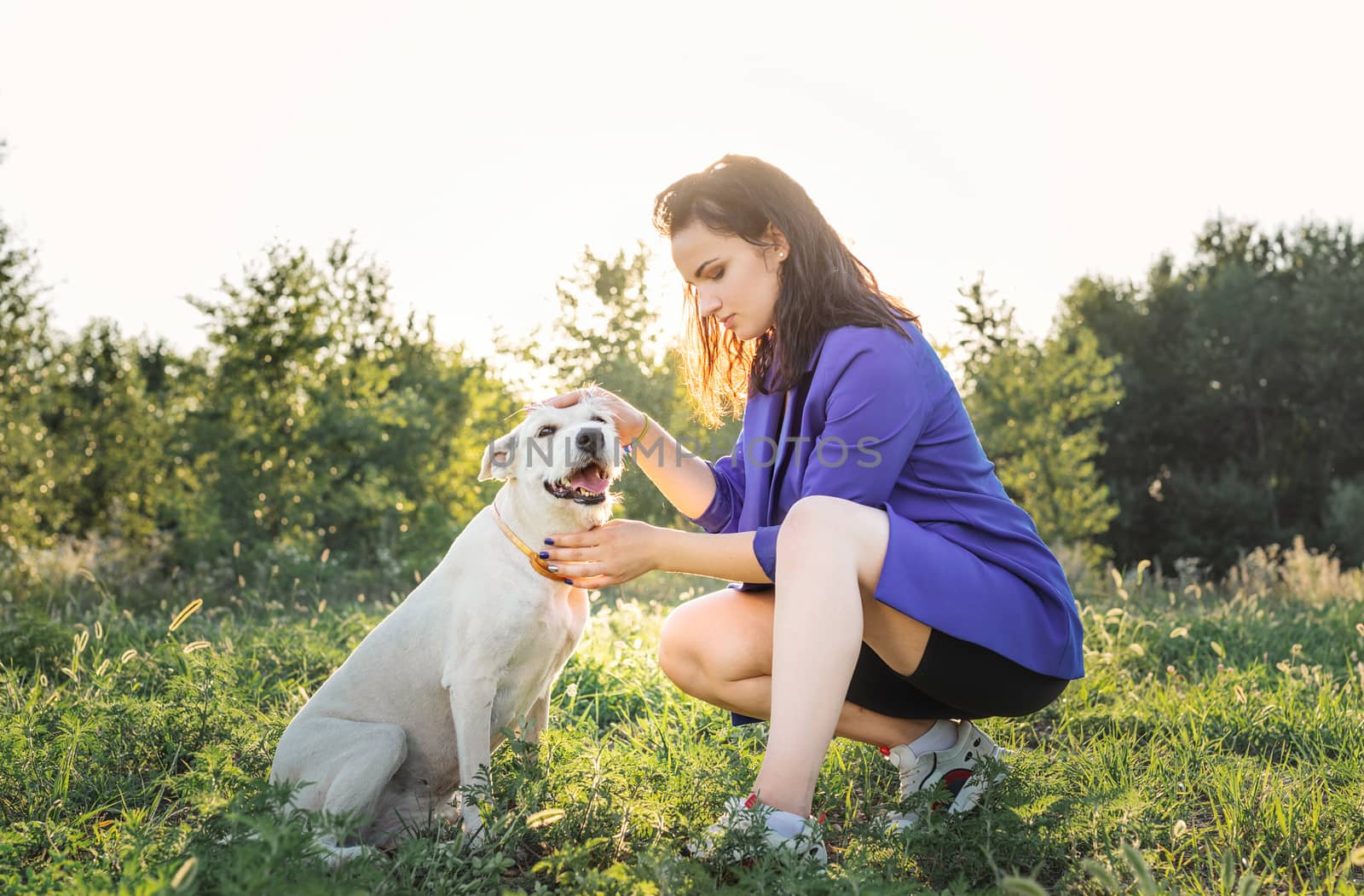 young attractive woman hugging her dog in the park in the sunset by Desperada