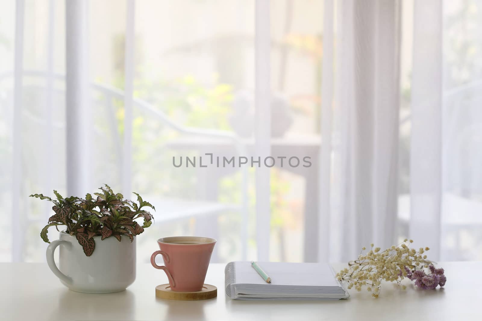 Interior house decor with pink coffee cup and white notebook and blue pencil and plants with see through curtain