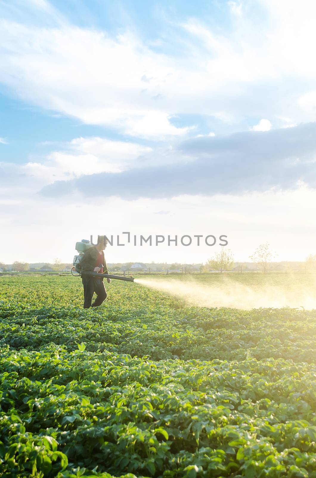 A farmer with a mist sprayer blower processes the potato plantation from pests and fungus infection. Fumigator fogger. Use chemicals in agriculture. Agriculture and agribusiness. Harvest processing.