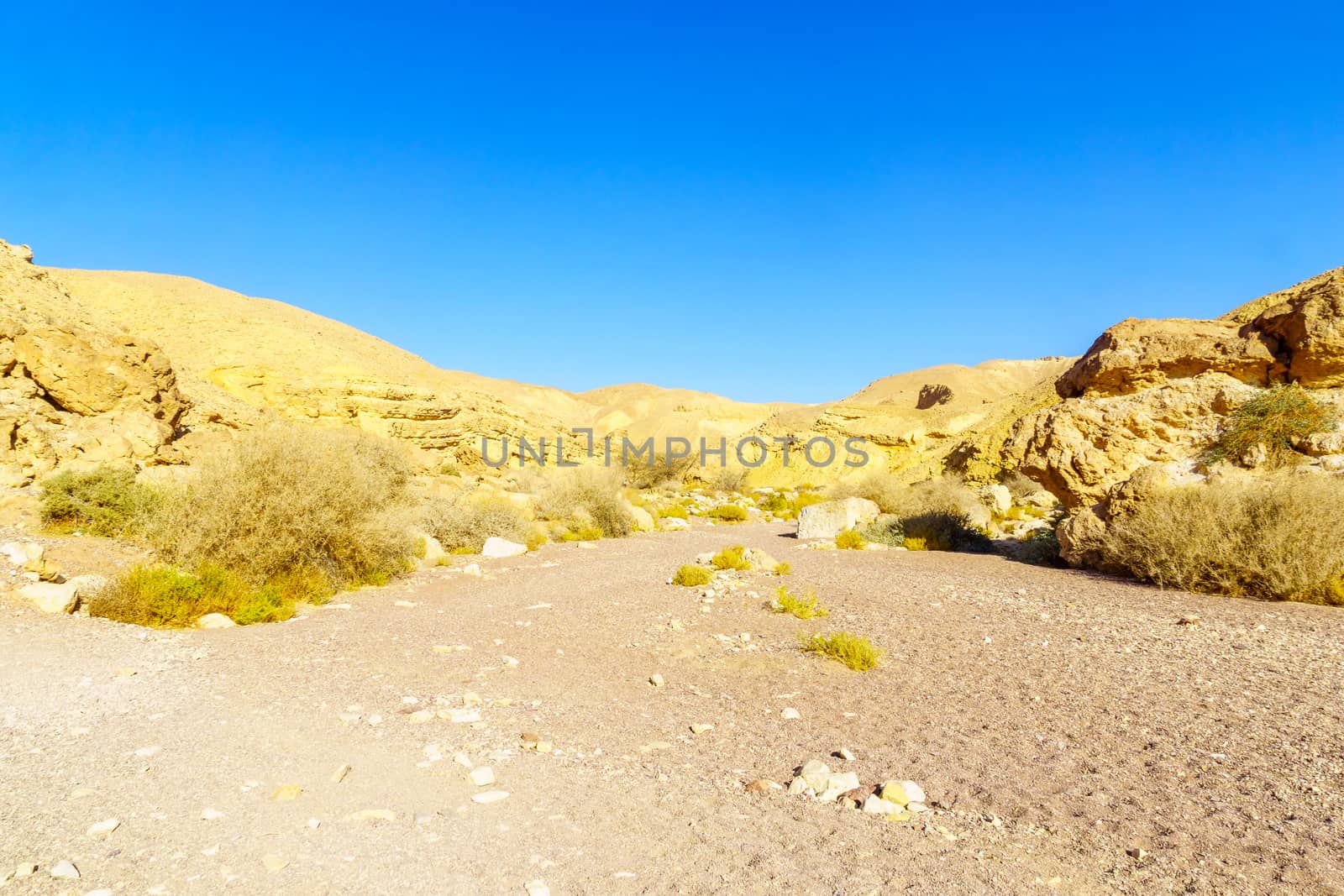 View of the Nahal Shani (desert valley, near the Red Canyon). Eilat Mountains, southern Israel.