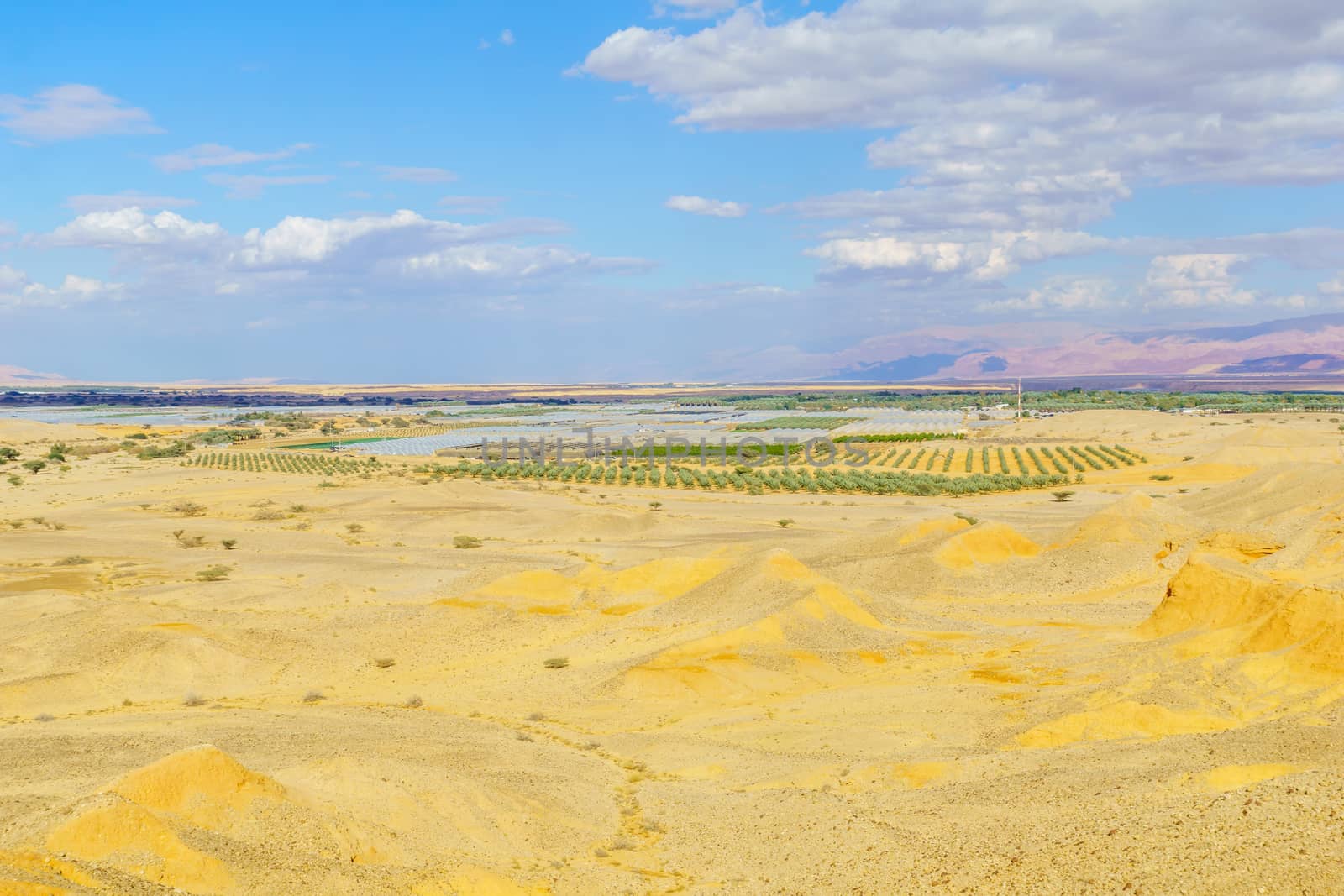 Desert landscape in the Sheizaf Nature Reserve, the Arava desert, southern Israel