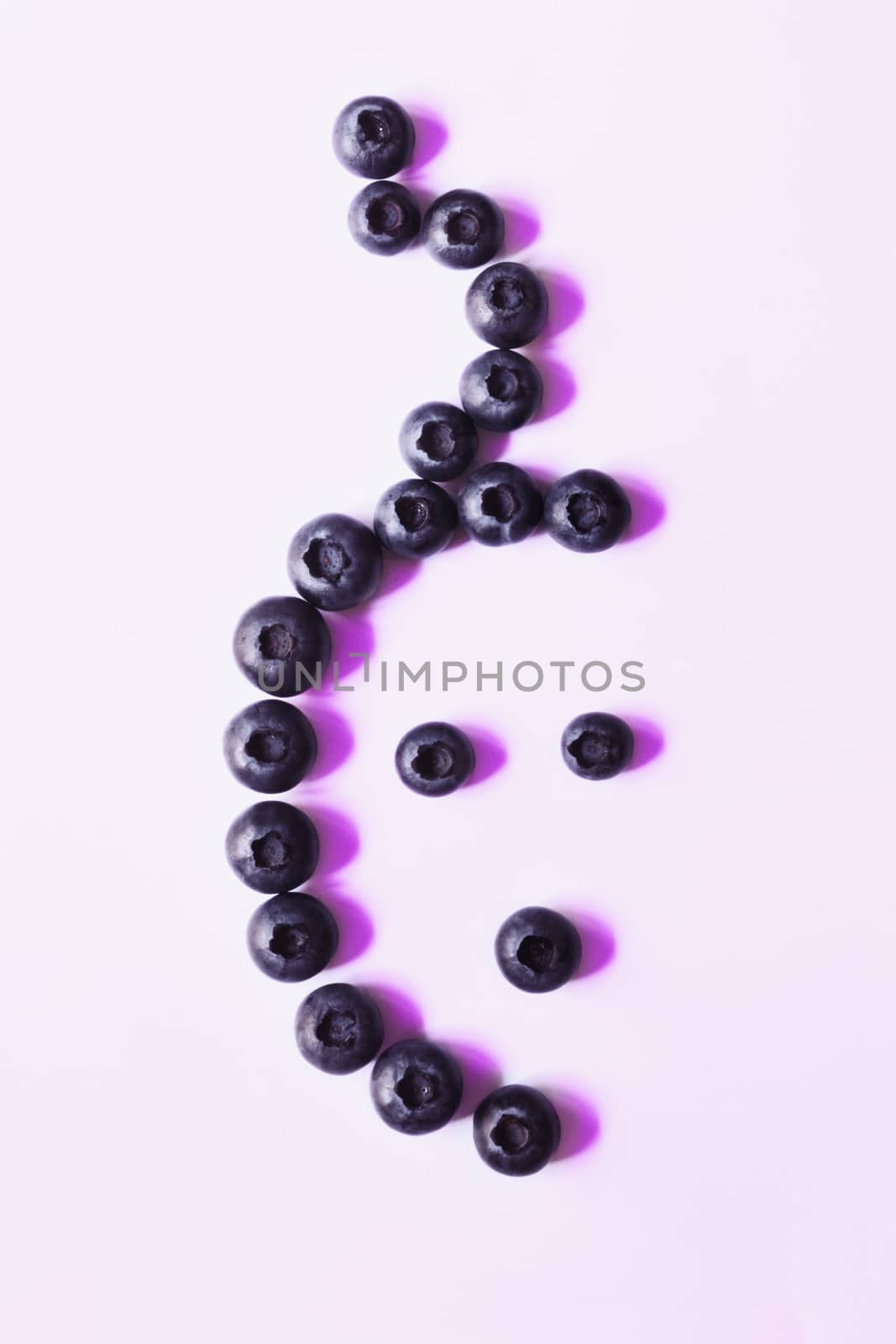 bilberries isolated on a white background by victimewalker