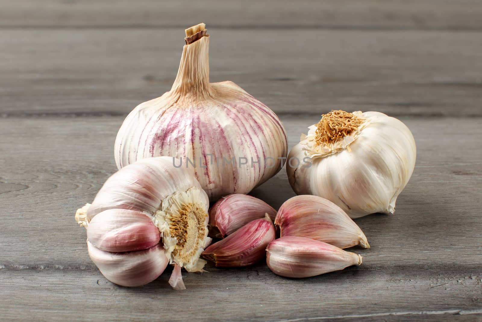 Garlic bulbs, with some purple cloves on gray wood table. by Ivanko