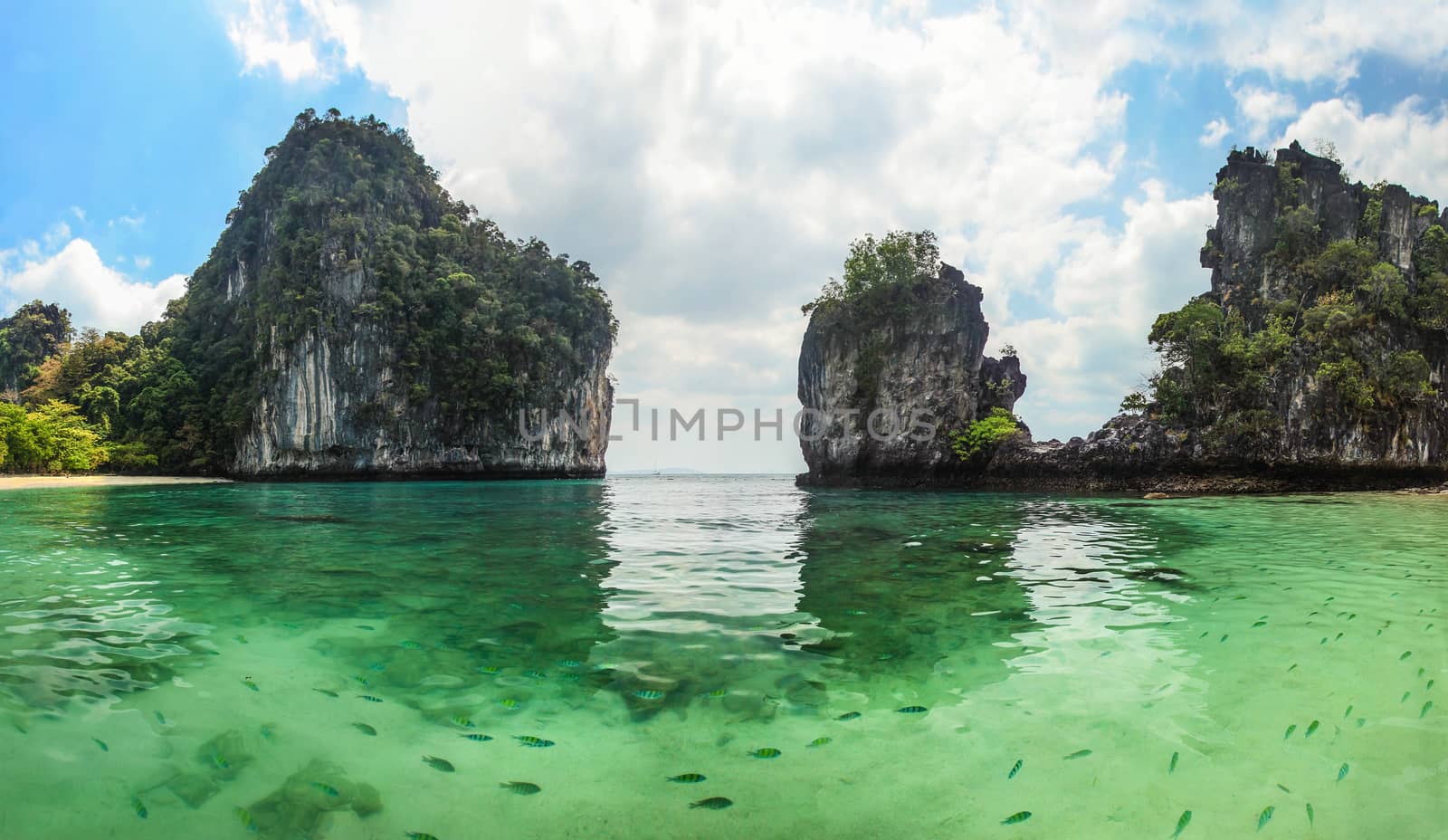 Panorama of sharp karst cliffs rising from water with clear gree by Ivanko