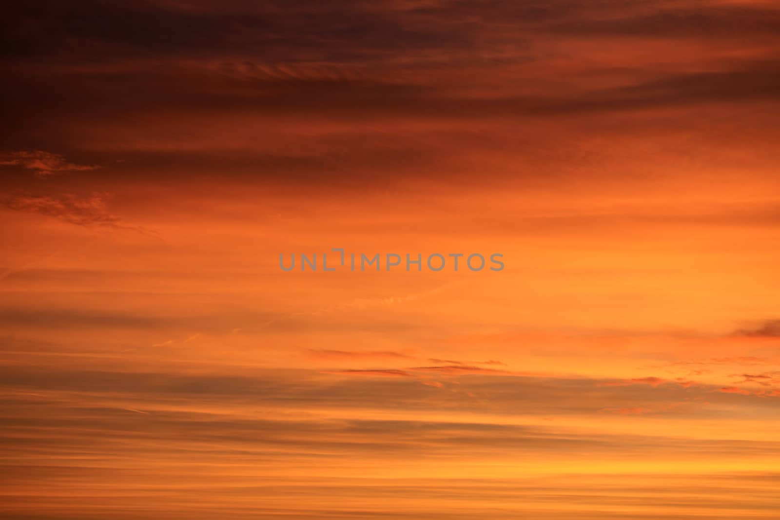 Sunset orange sky background