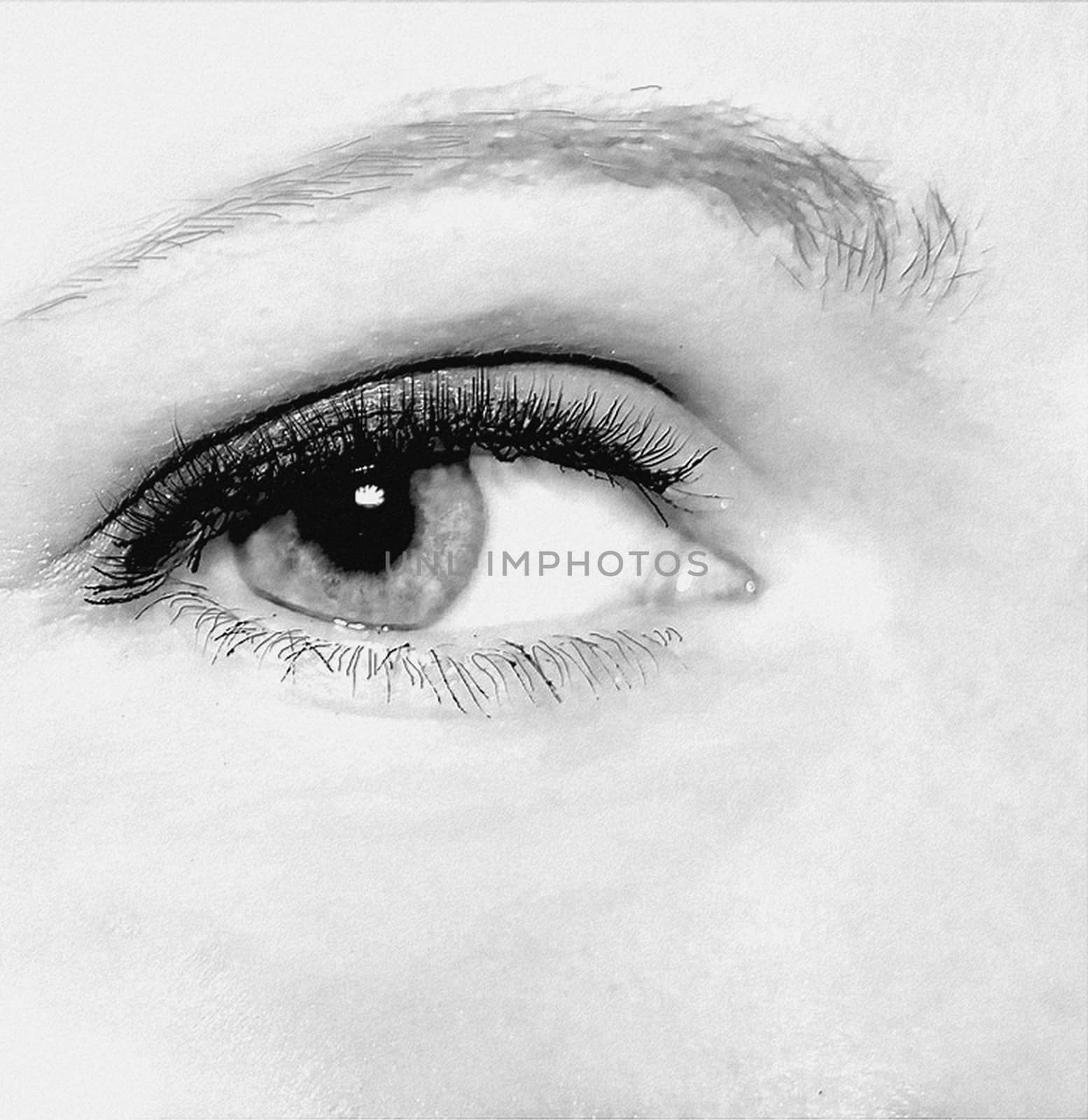 Close-up of a beautiful woman's eye High quality photo