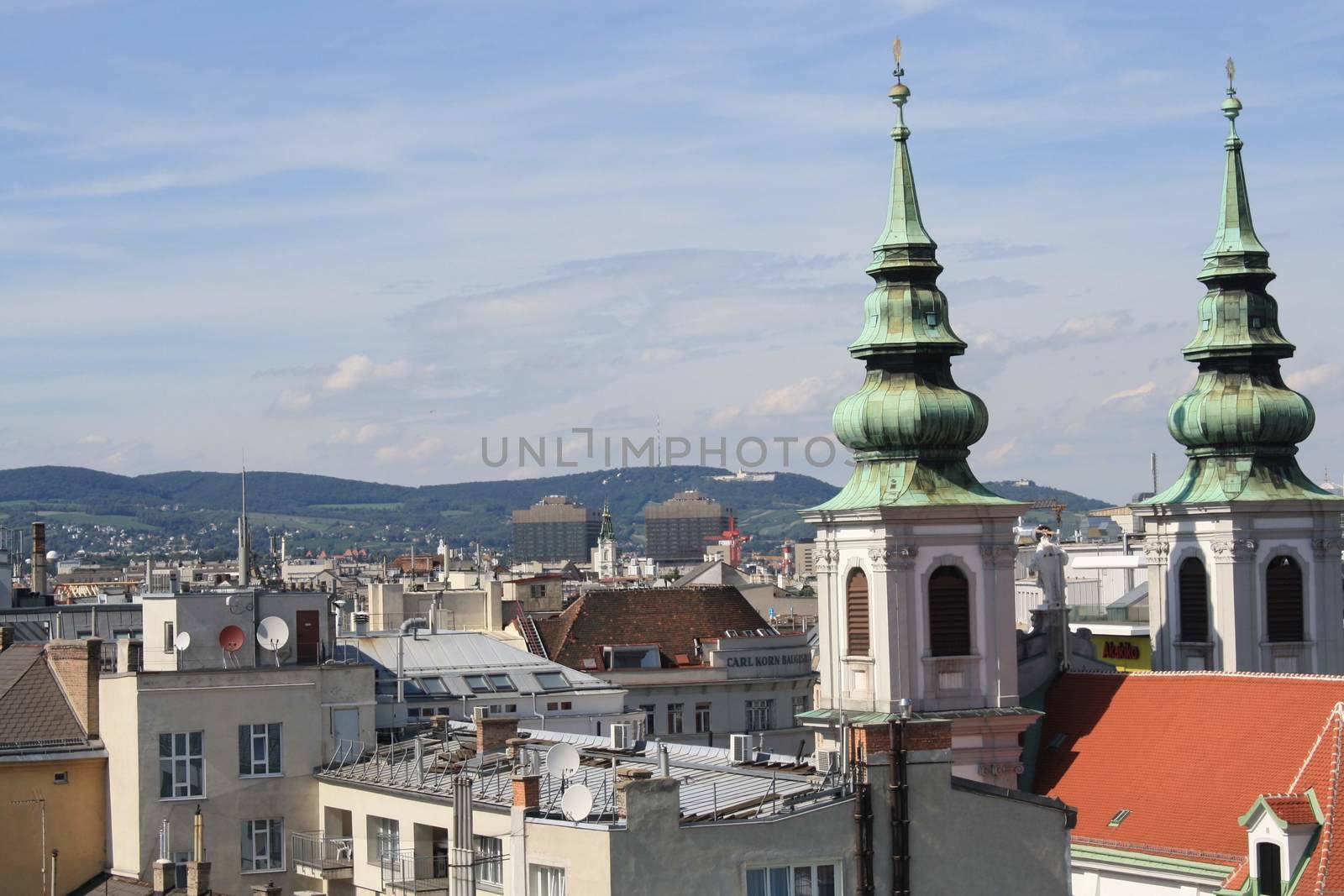 Vienna cityscape photographed from the roof . High quality photo