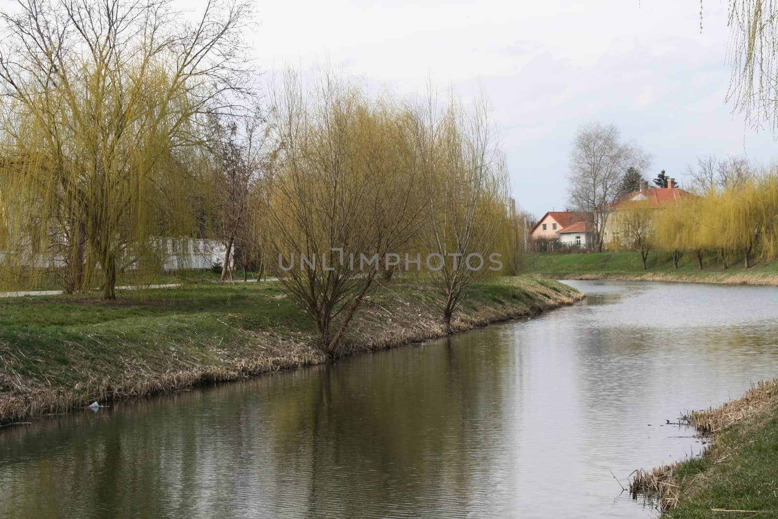 A body of water surrounded by trees. High quality photo