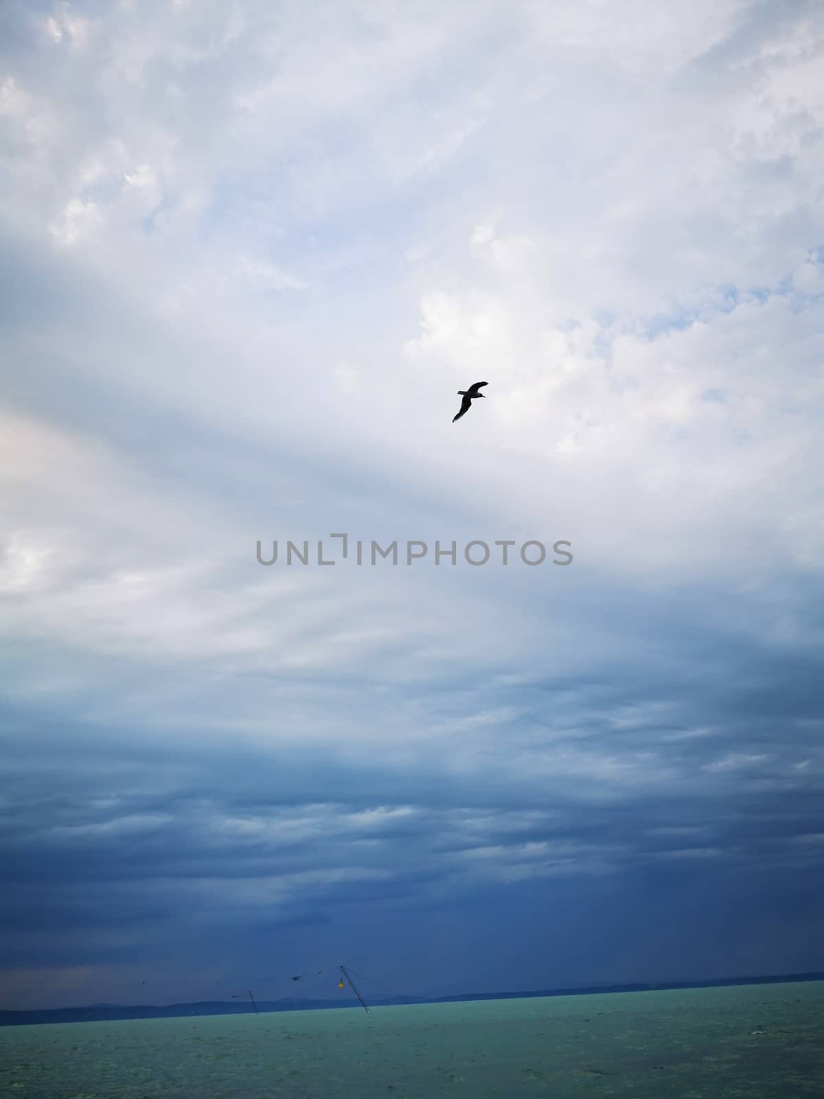 A group of clouds in the sky. High quality photo