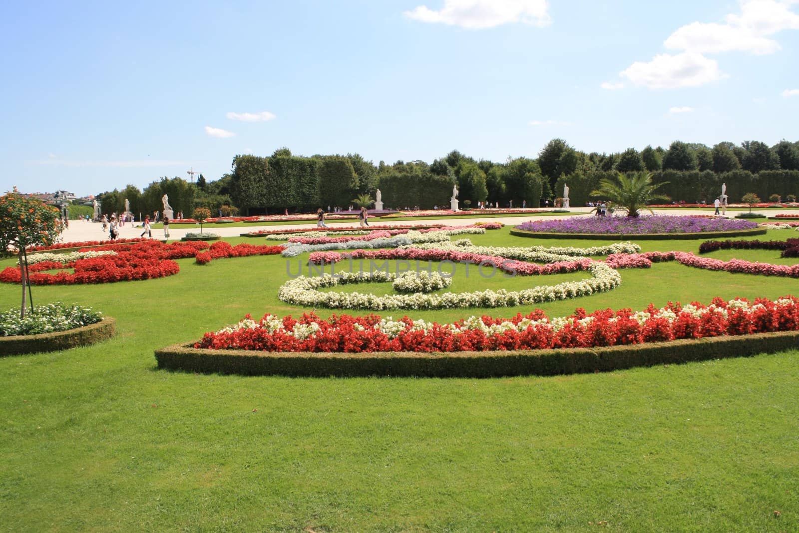 Beautiful flower garden of Schönbrunn Castle. High quality photo