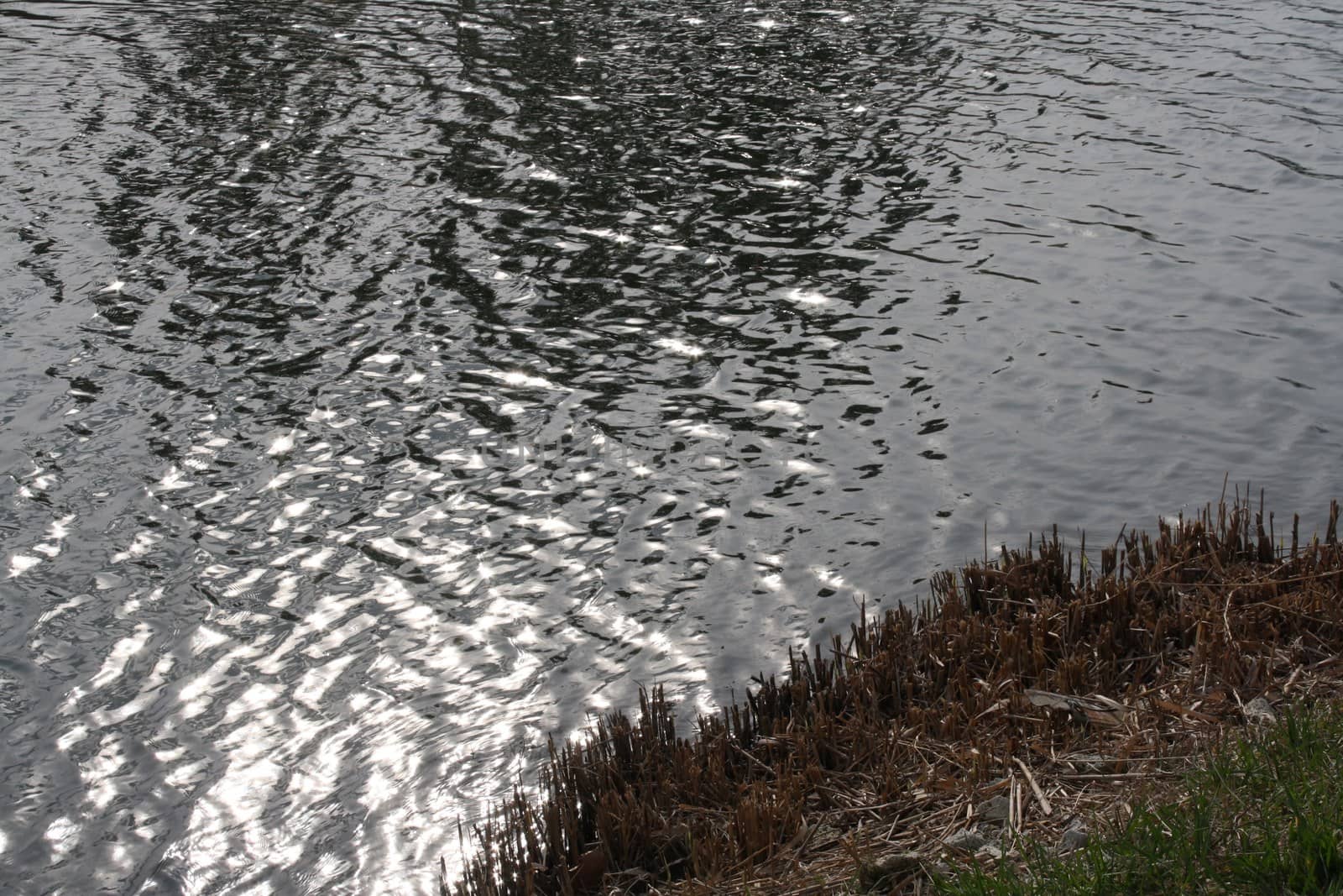 A body of water. High quality photo