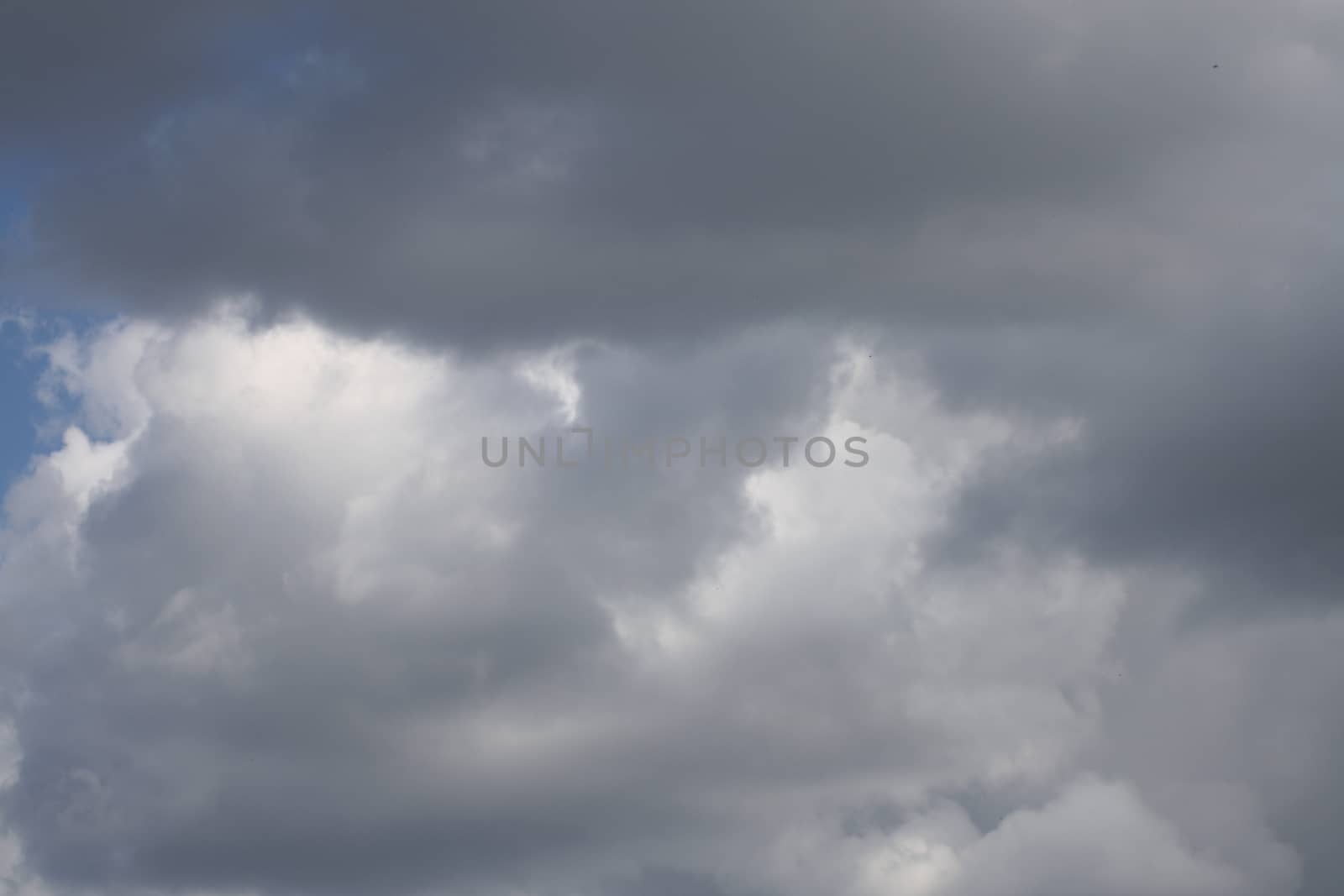 Clouds in the sky. High quality photo