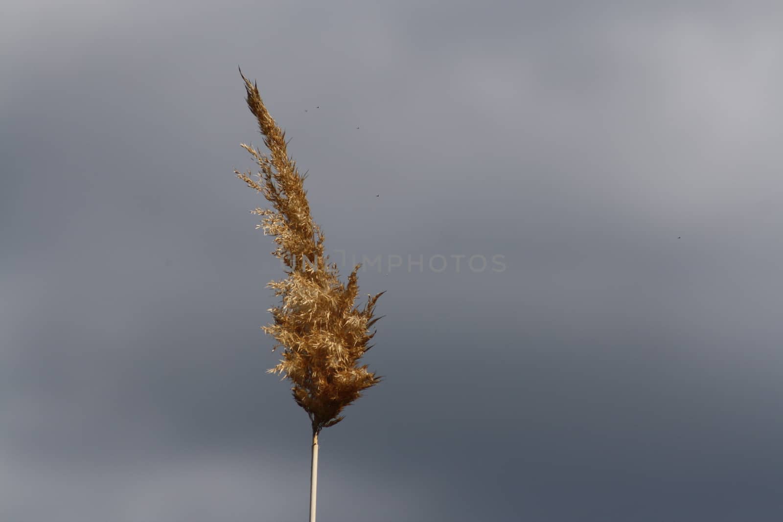 A sign on a pole. High quality photo