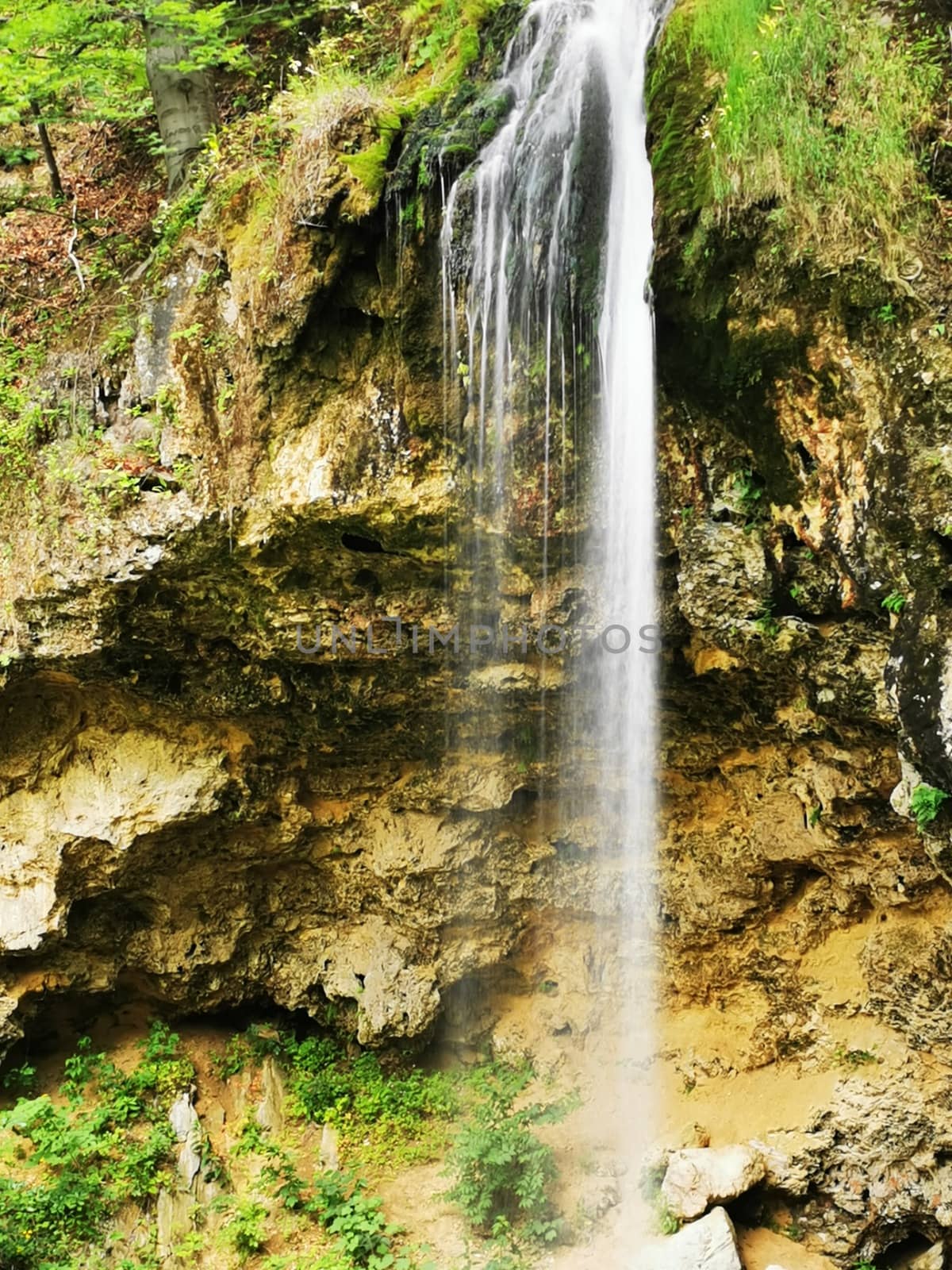 A waterfall in a forest. High quality photo