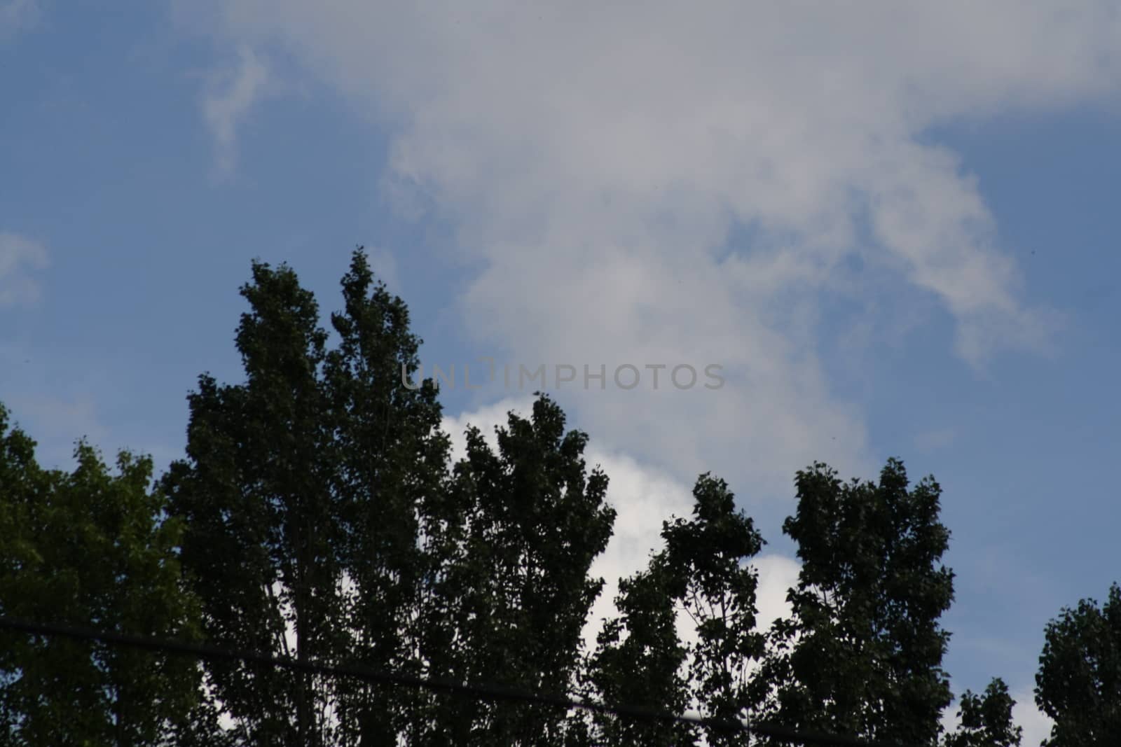 A sign in front of a tree. High quality photo