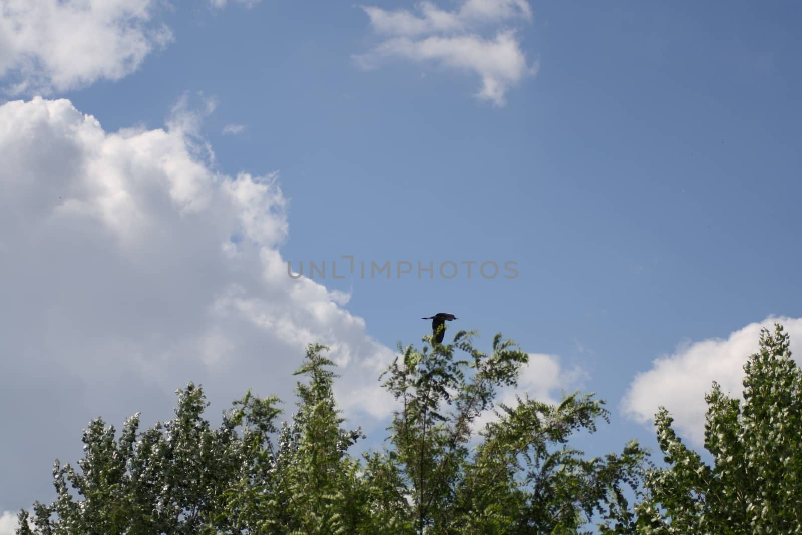 A sign on a cloudy day. High quality photo