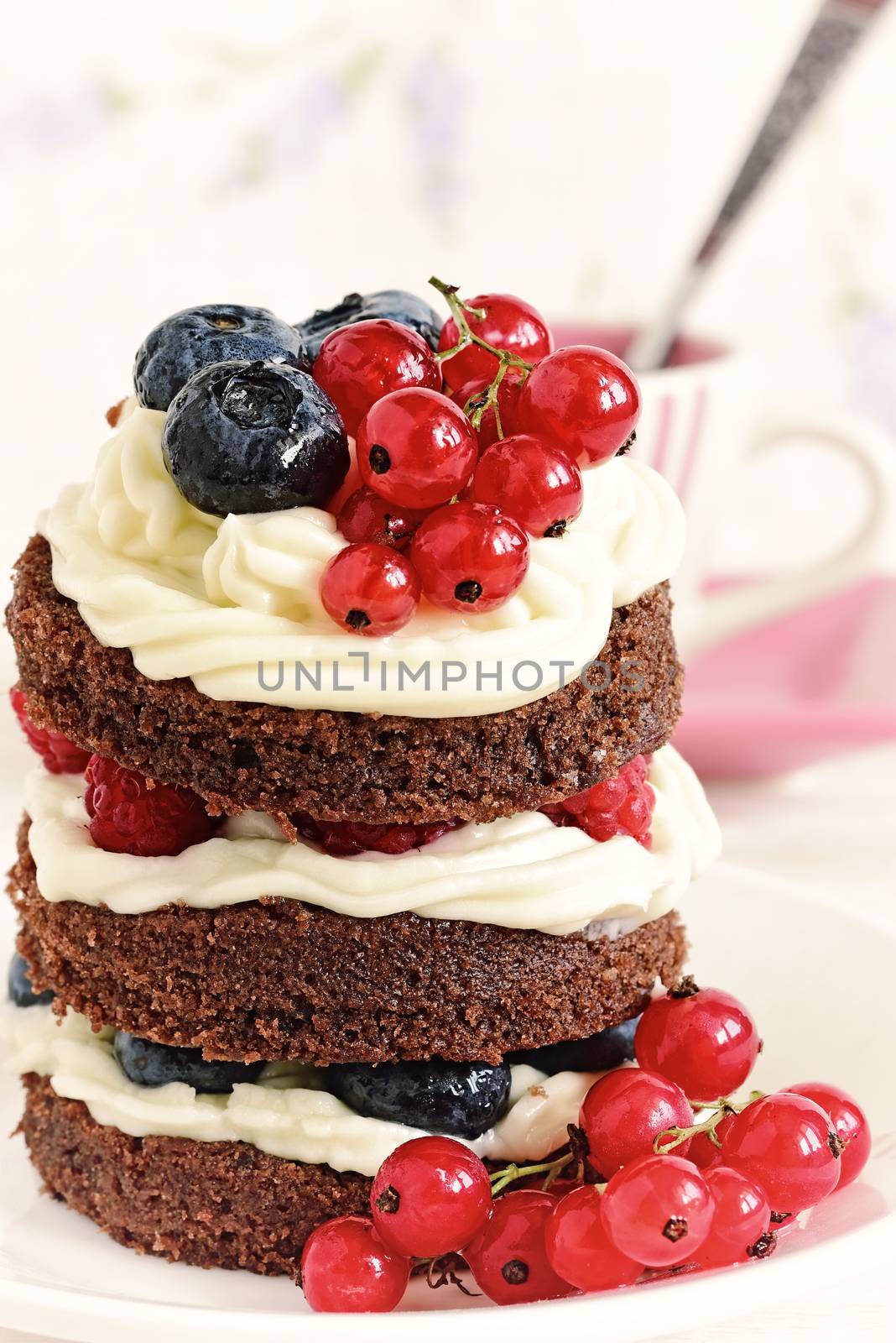 Homemade cake with berries. Cake sweet dessert.