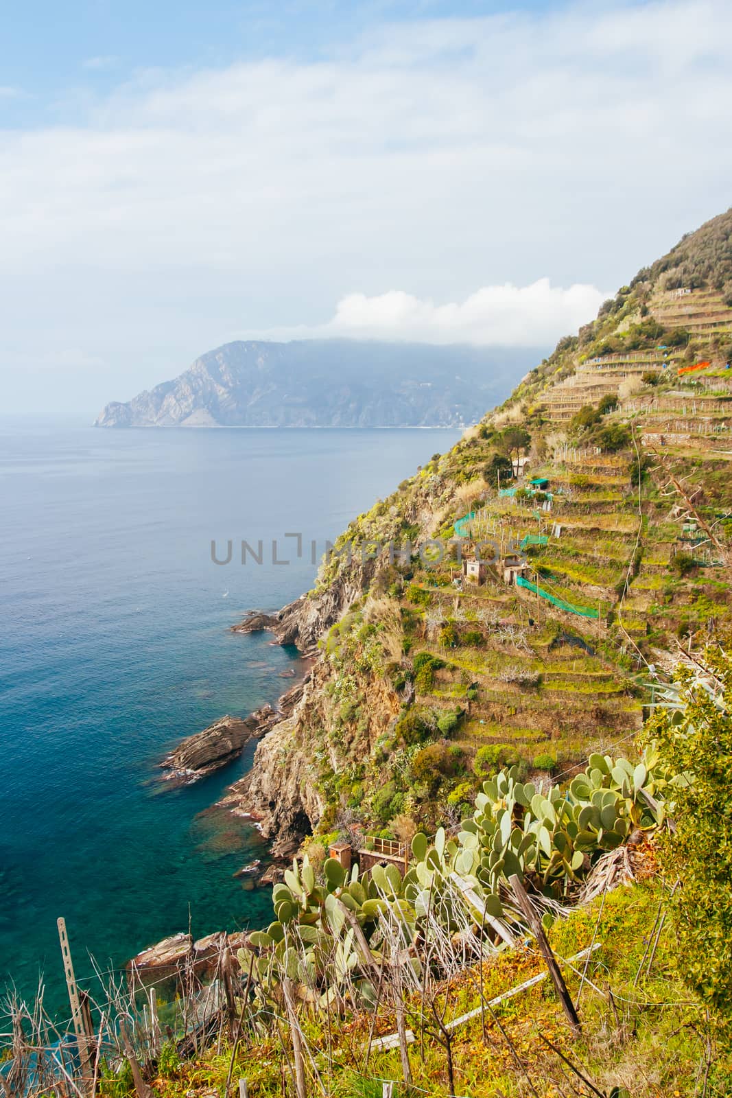 Coastal view on a clear winter's day over towards Monterosso from Vernazza in Cinque Terre, Italy