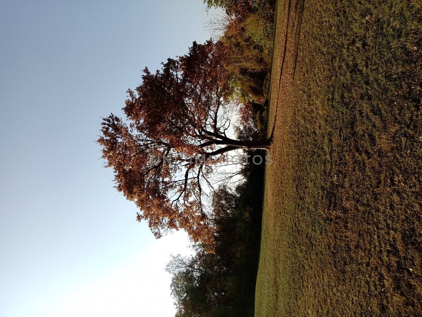 A sign on a grassy field with trees in the background. High quality photo