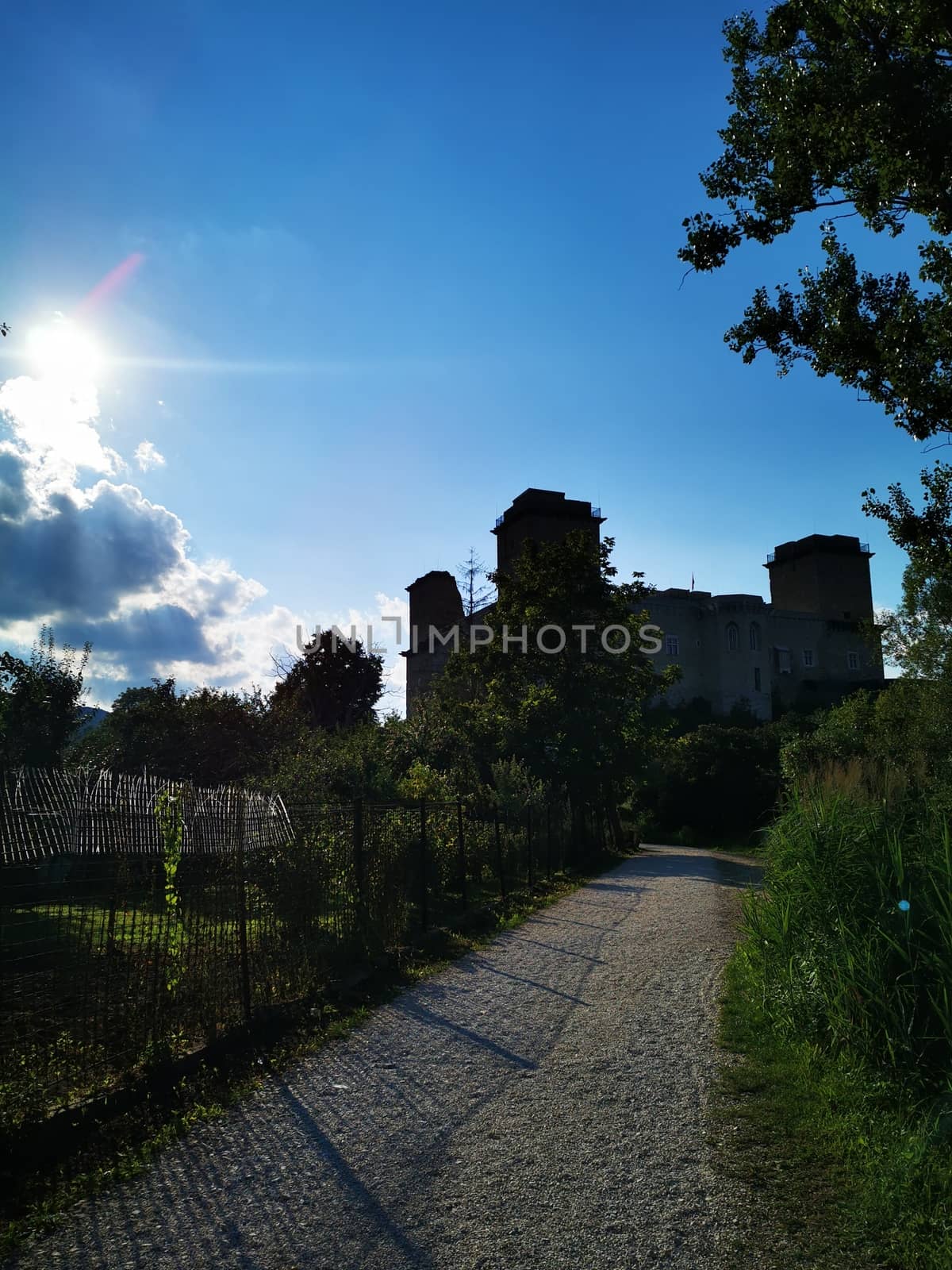 A path with trees on the side of a building. High quality photo