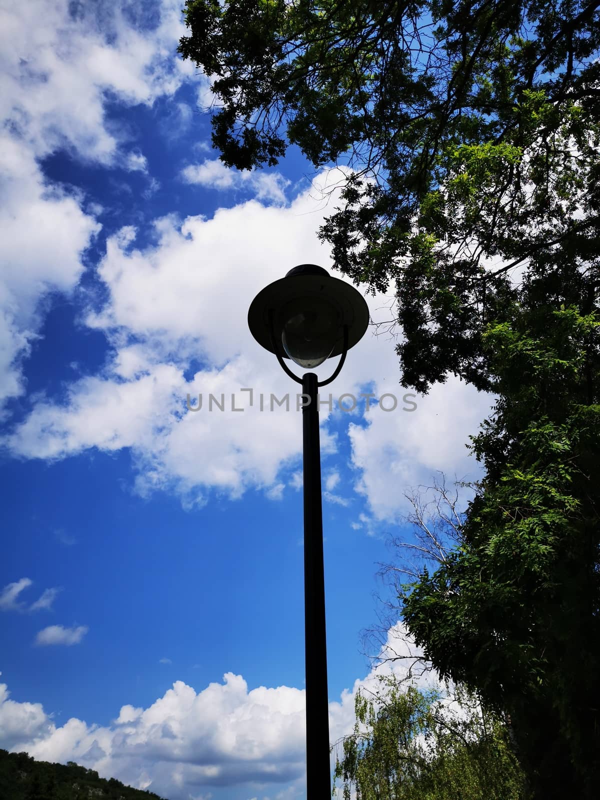 A street sign hanging from a tree. High quality photo