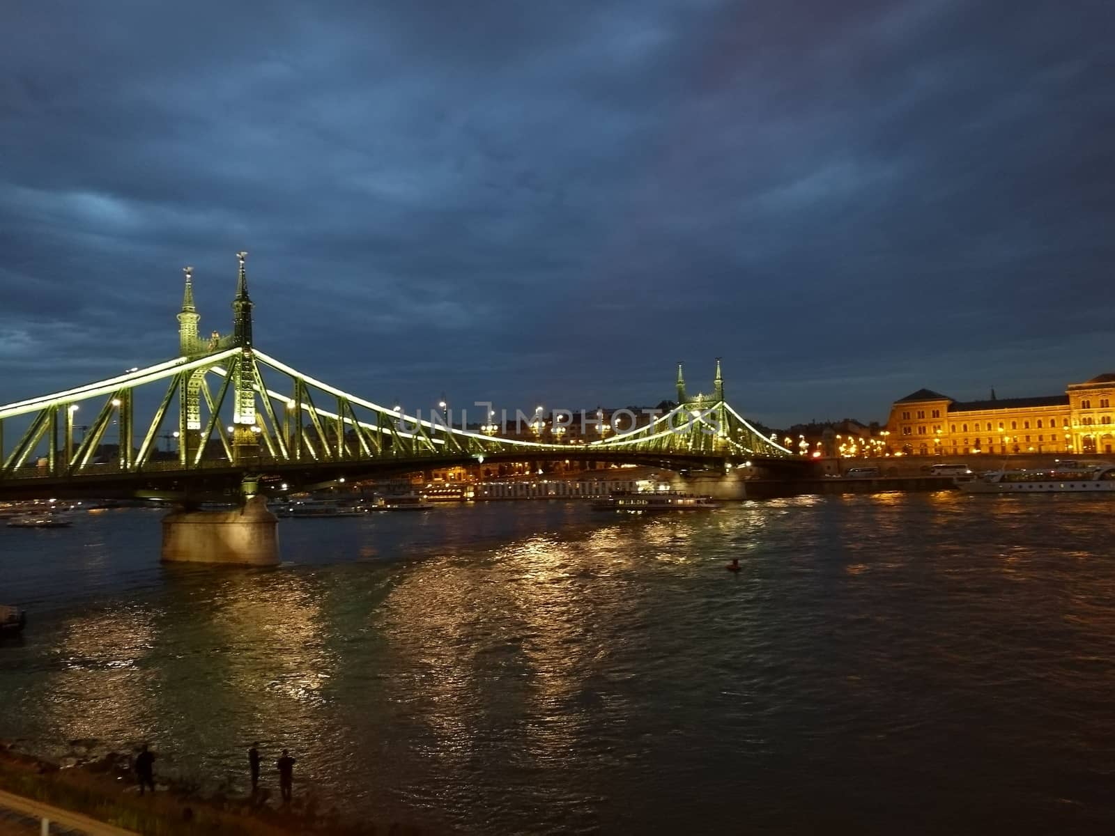 Liberty Bridge and Corvinus University in the evening lights. High quality photo