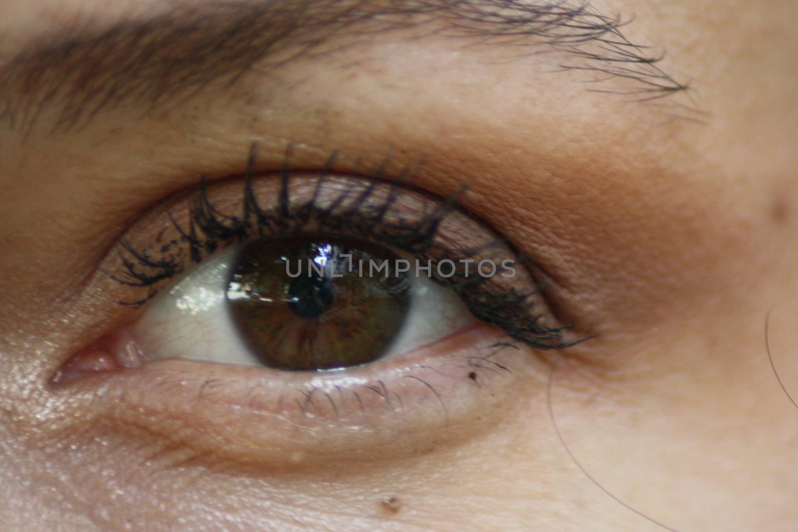 A close up of a persons eye. High quality photo