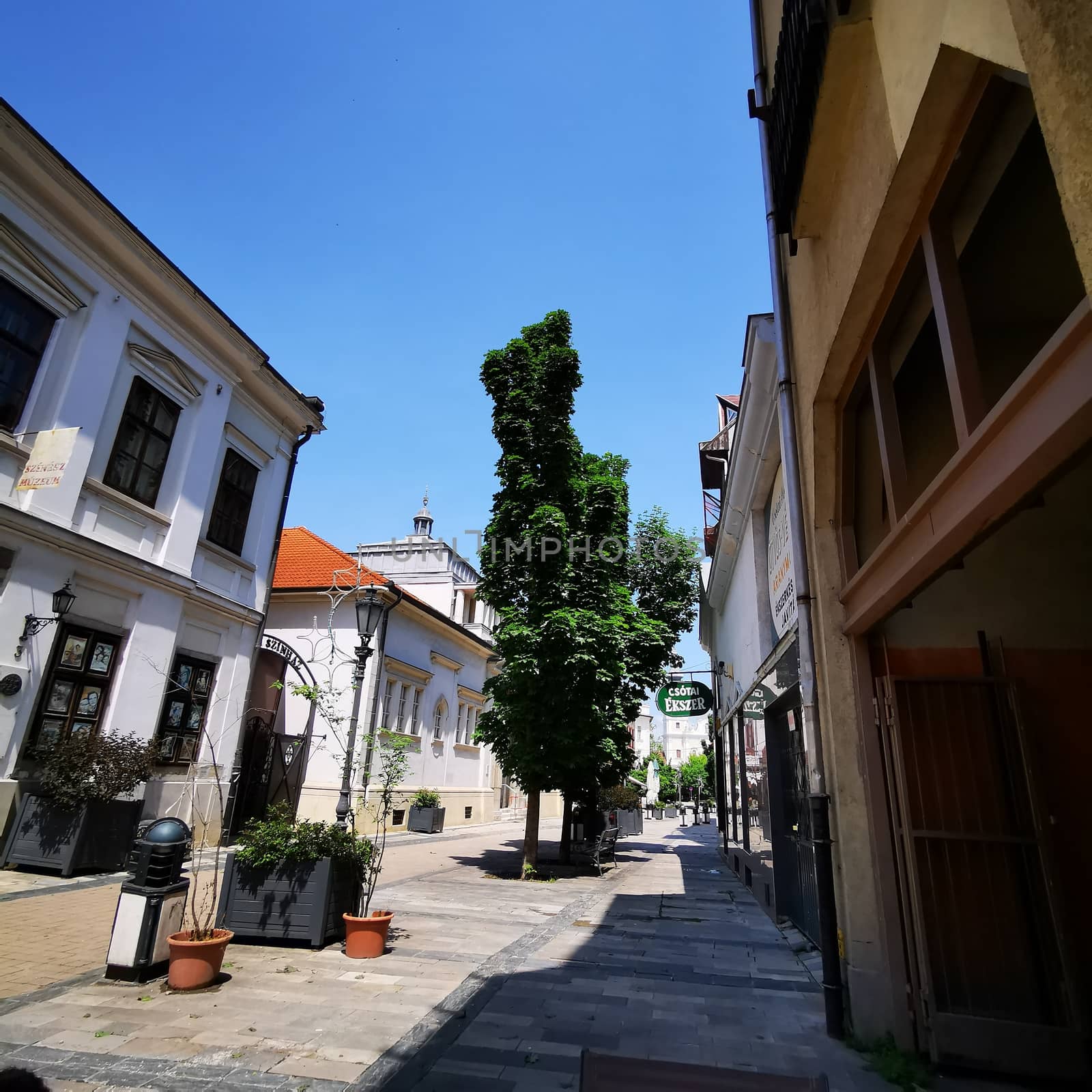 Pedestrian street of Miskolc with a view of shops and houses. High quality photo