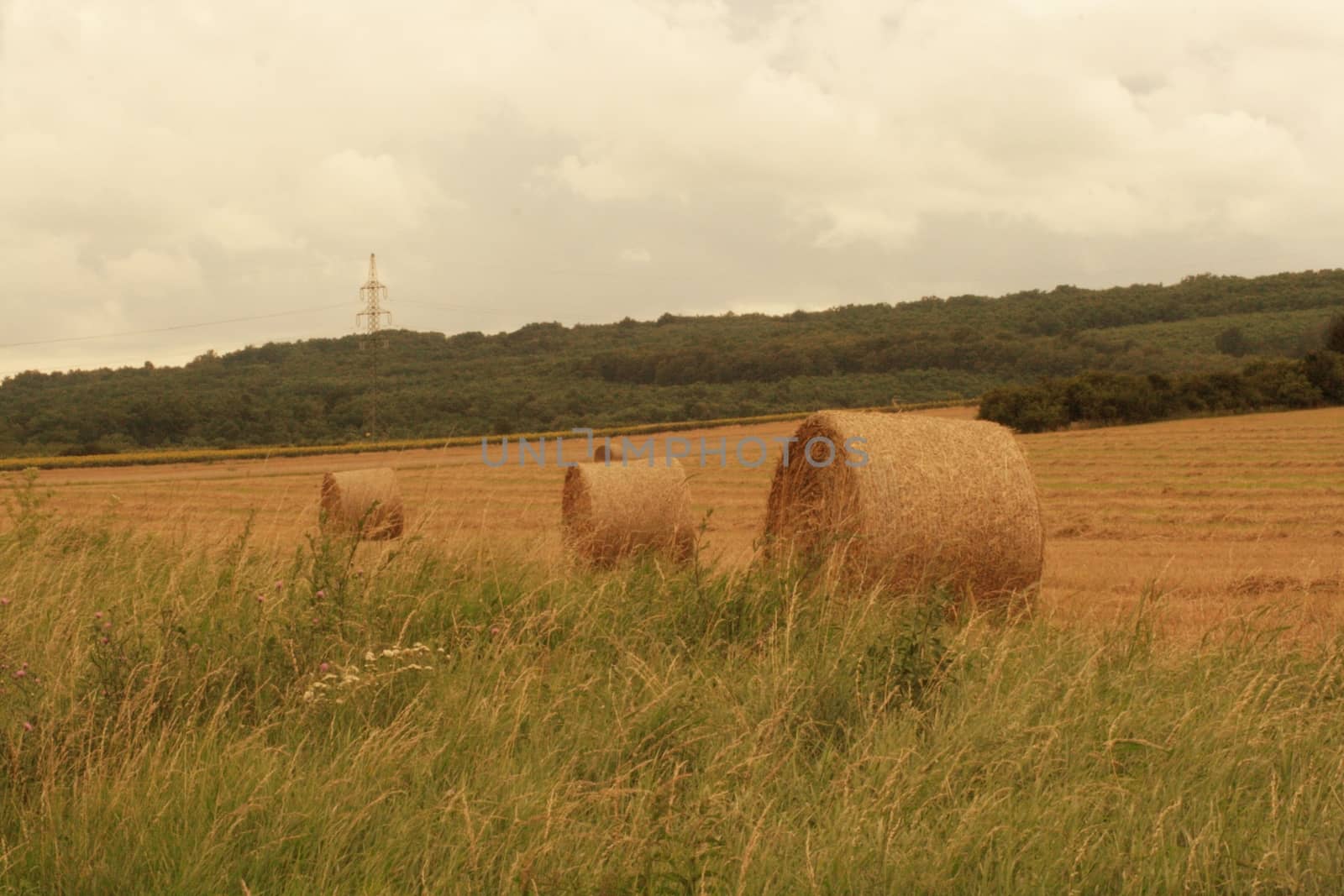 Hay bales in a field on the outskirts of Miskolc High quality photo
