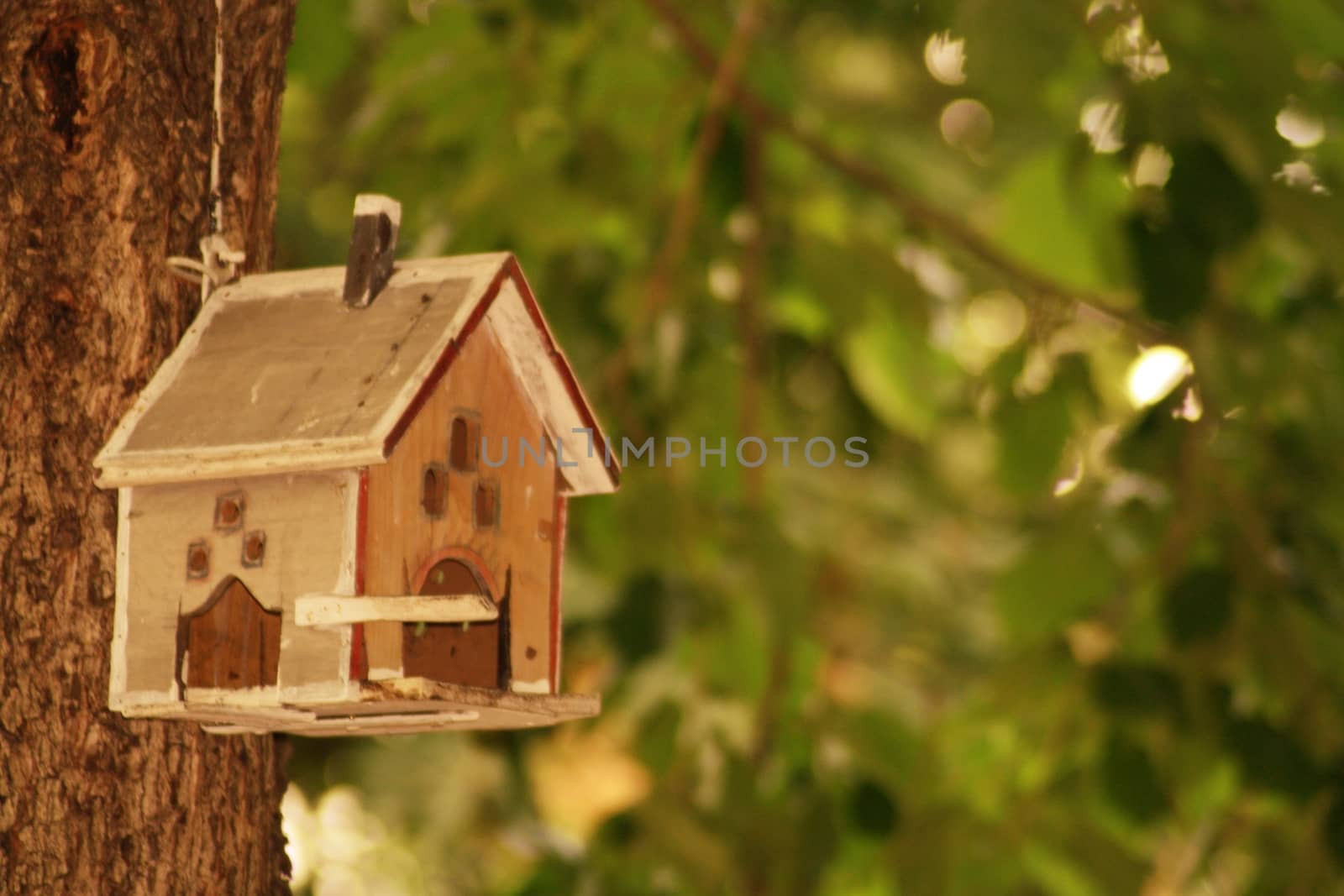 A bird sitting on top of a birdhouse. High quality photo