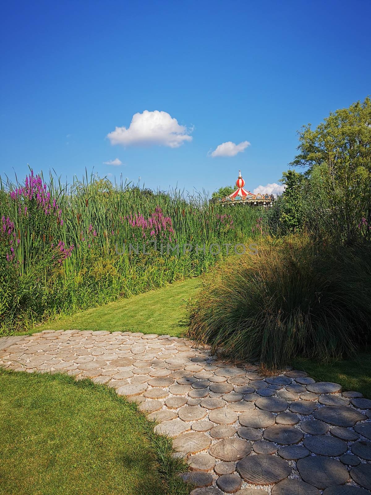Fairy garden landscape in Miskolc on a summer's day by balage941