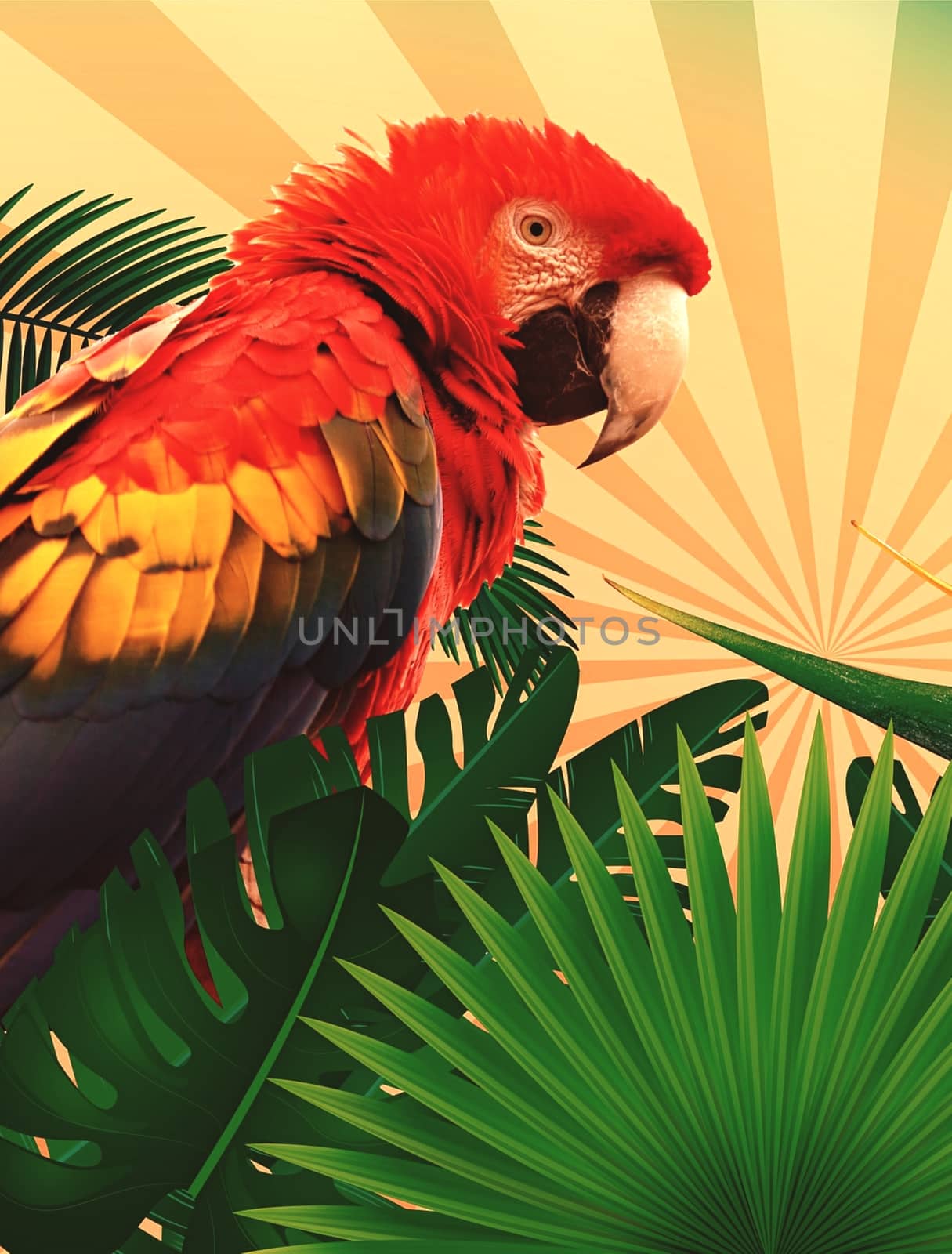 Close-up of a parrot with plant illustration  by balage941