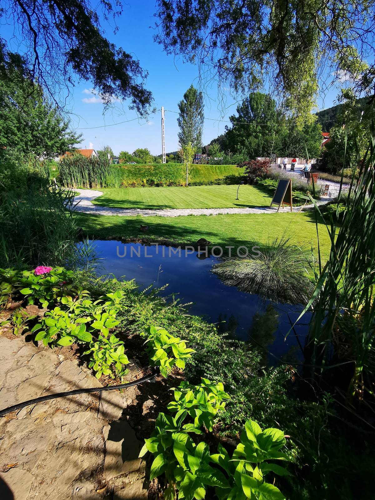 A garden with water in the background. High quality photo
