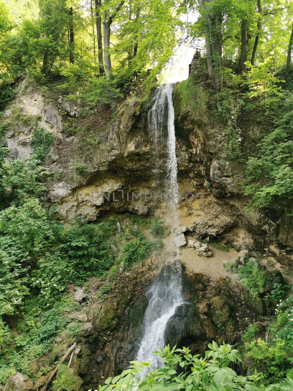 A large waterfall in a forest. High quality photo