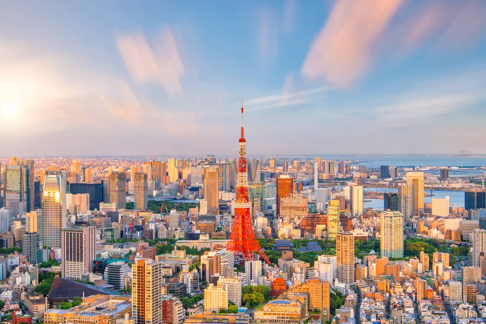 Panorama view of Tokyo city skyline and Tokyo Tower building in Japan at sunset