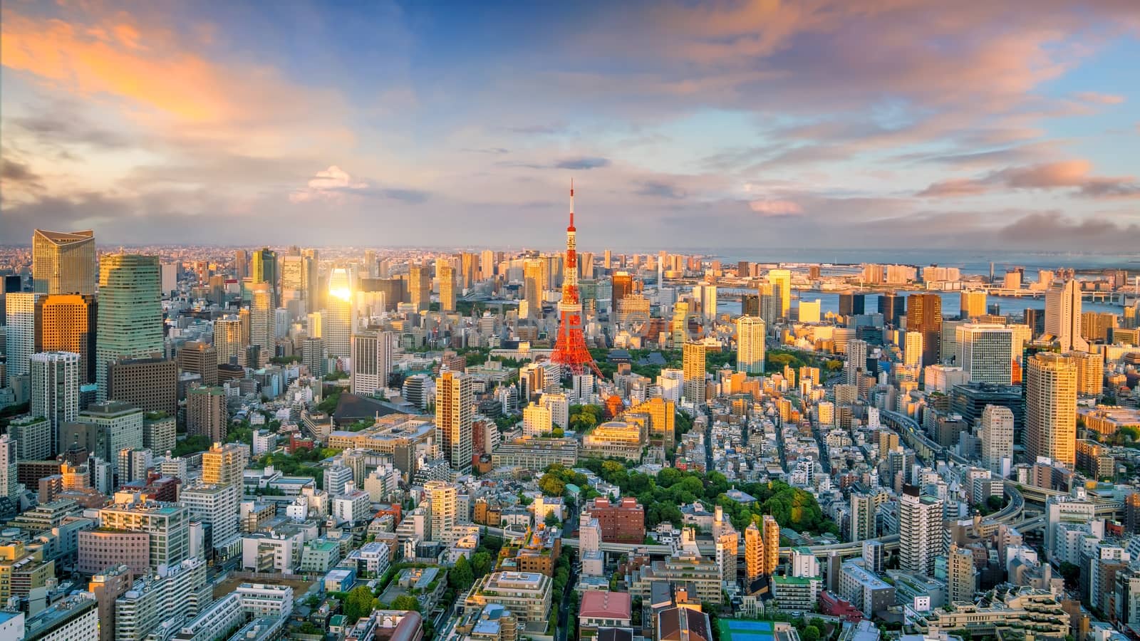 Panorama view of Tokyo city skyline and Tokyo Tower building in Japan at sunset