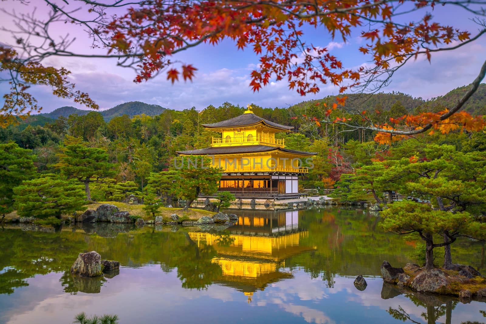 Autumn view of The Golden Pavilion of Kinkaku-ji temple in Kyoto, Japan