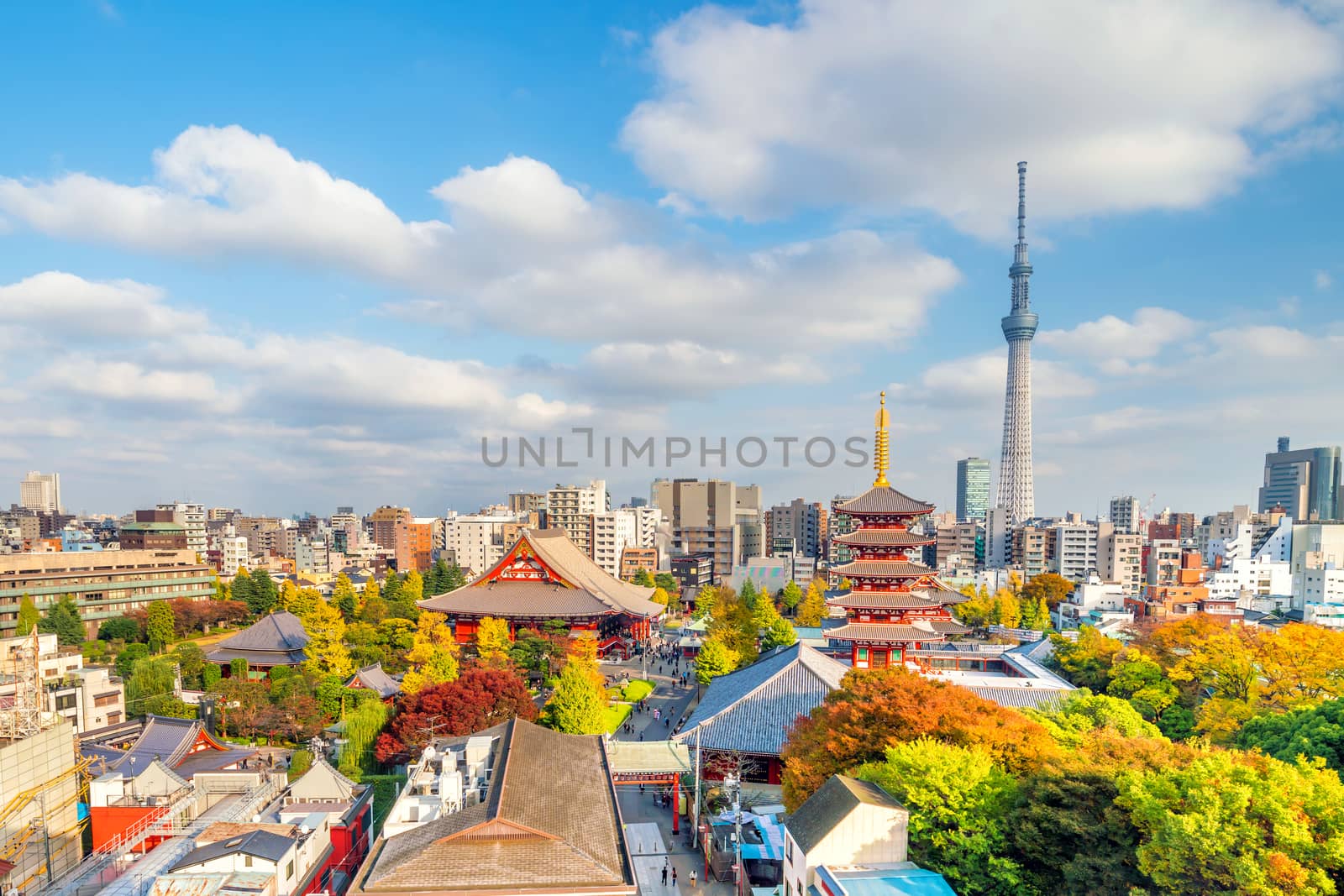 View of Tokyo skyline with summer blue sky by f11photo