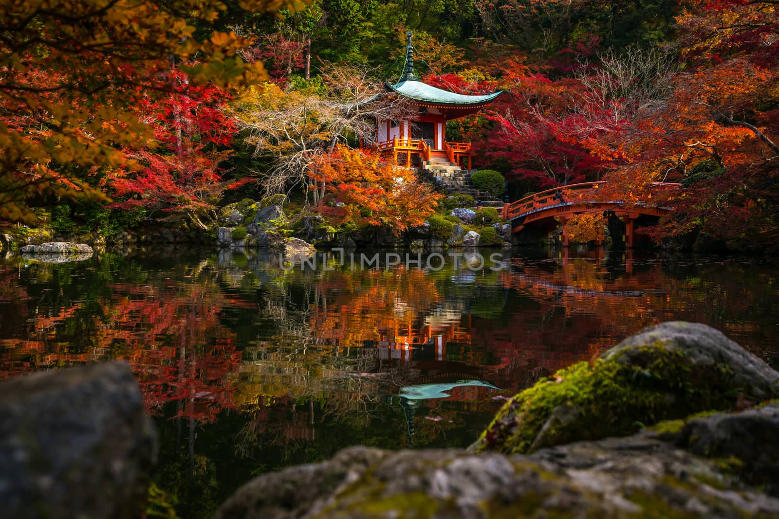 Famous Daigoji temple with autumn red color leaves in Kyoto by f11photo