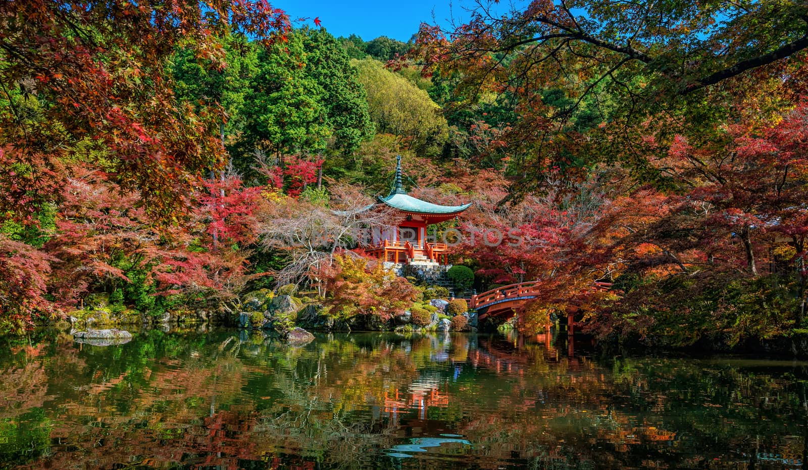 Famous Daigoji temple with autumn red color leaves in Kyoto by f11photo