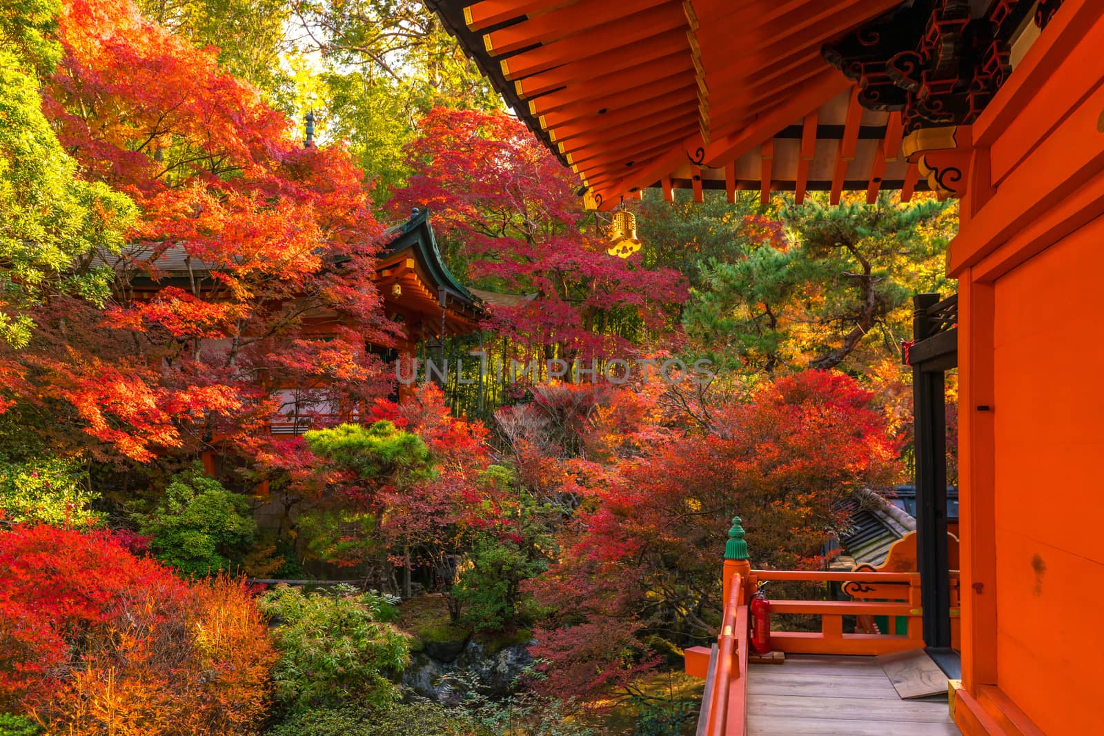 Japan autumn image. Bishamon-do temple in Kyoto city by f11photo