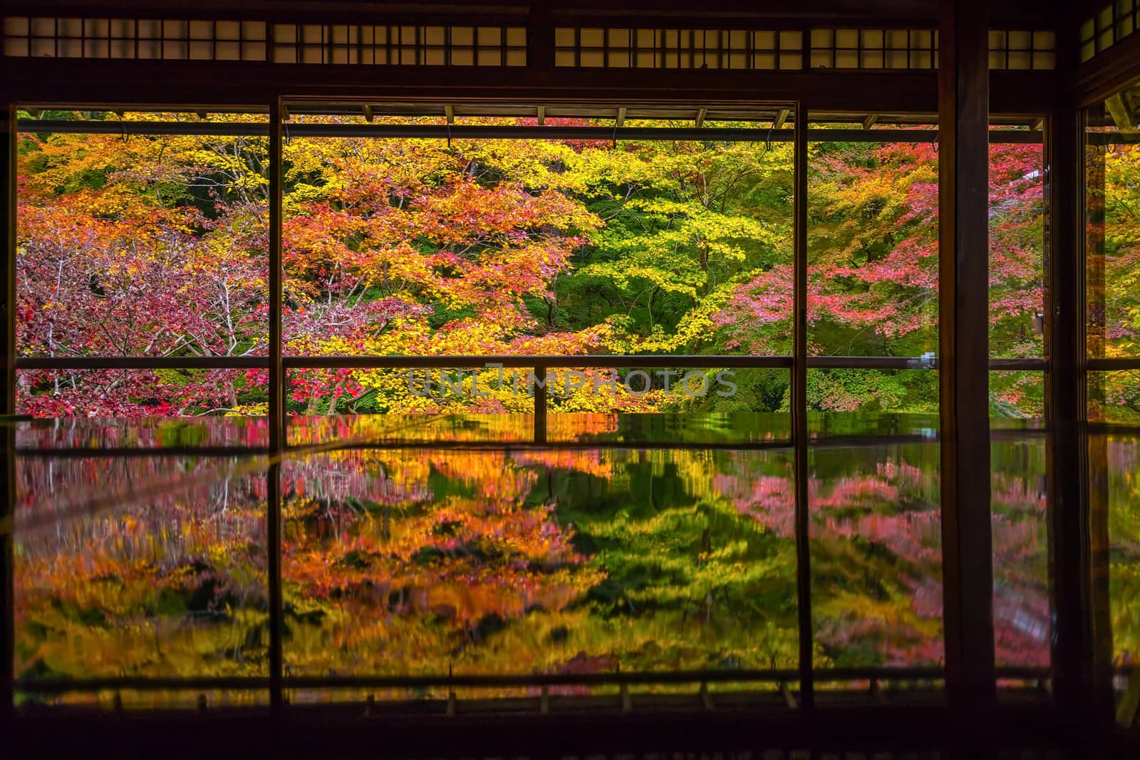 View of the autumn colors from the old temples in Kyoto by f11photo