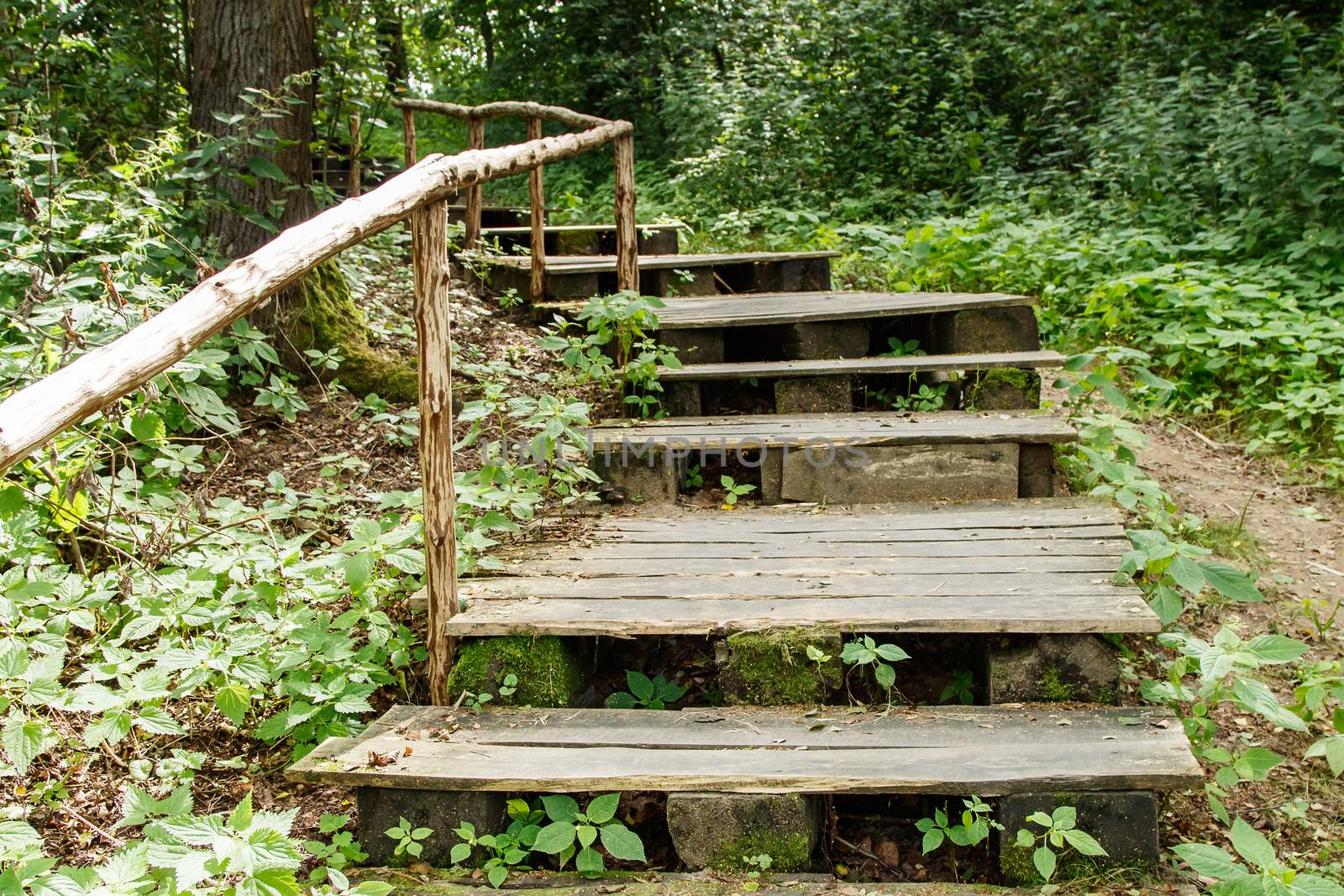 old wooden stairs in the park on bright sunny summer day